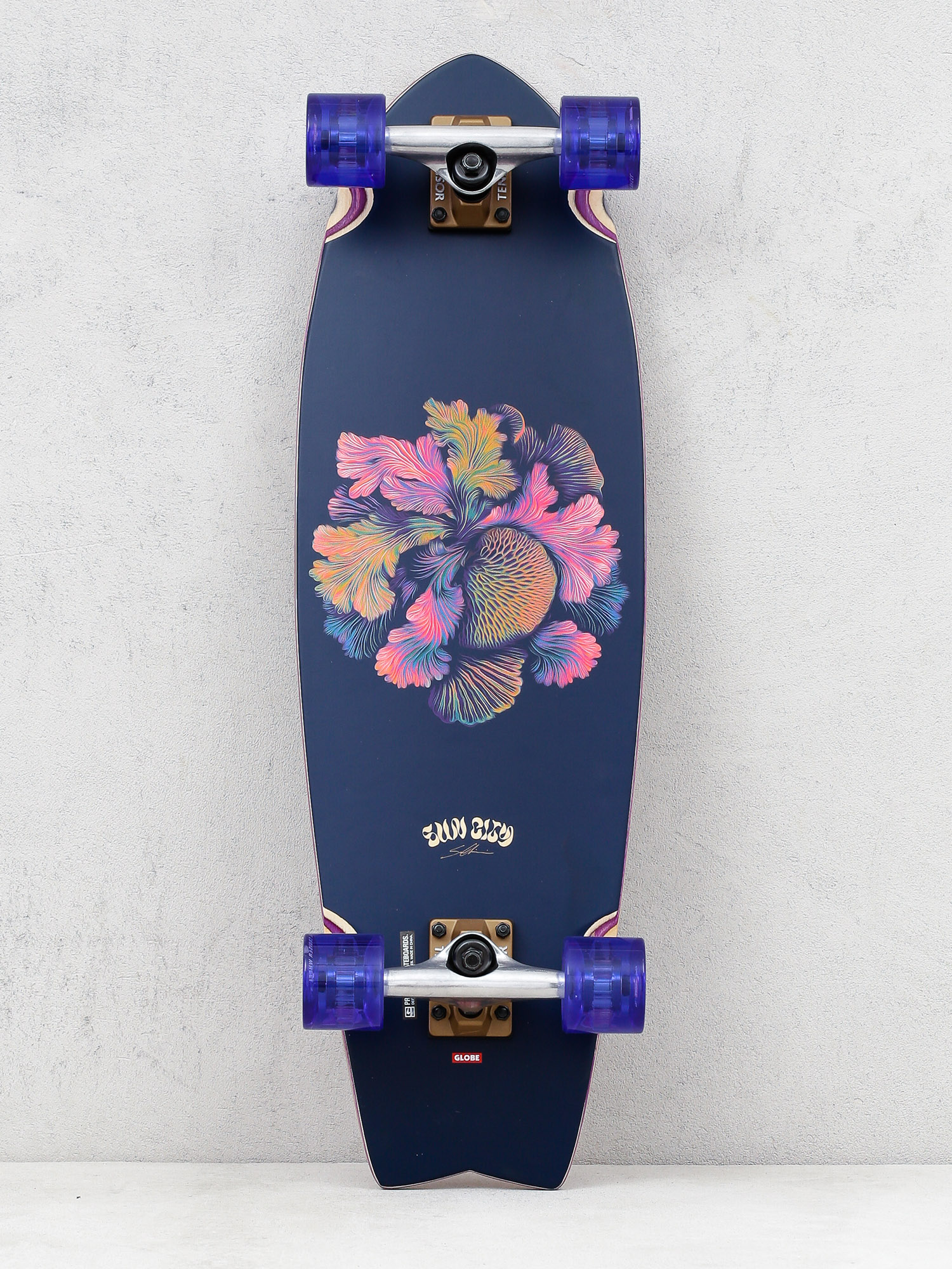 u0421u043au0435u0439u0442u0431u043eu0440u0434 u043au0440u0443u0456u0437u0435u0440 Globe Sun City (coral unity)