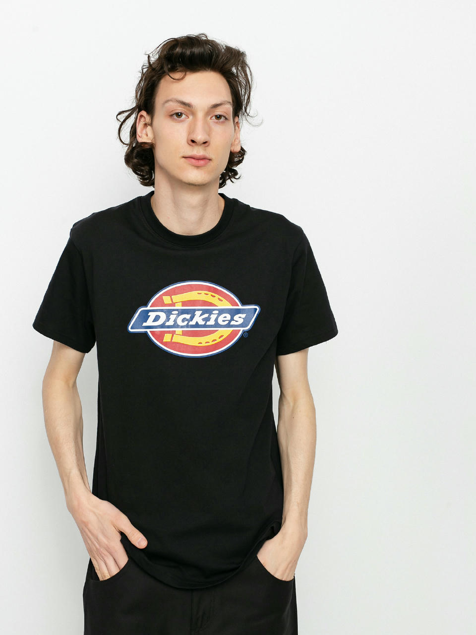 Футболка Dickies Icon Logo (black)