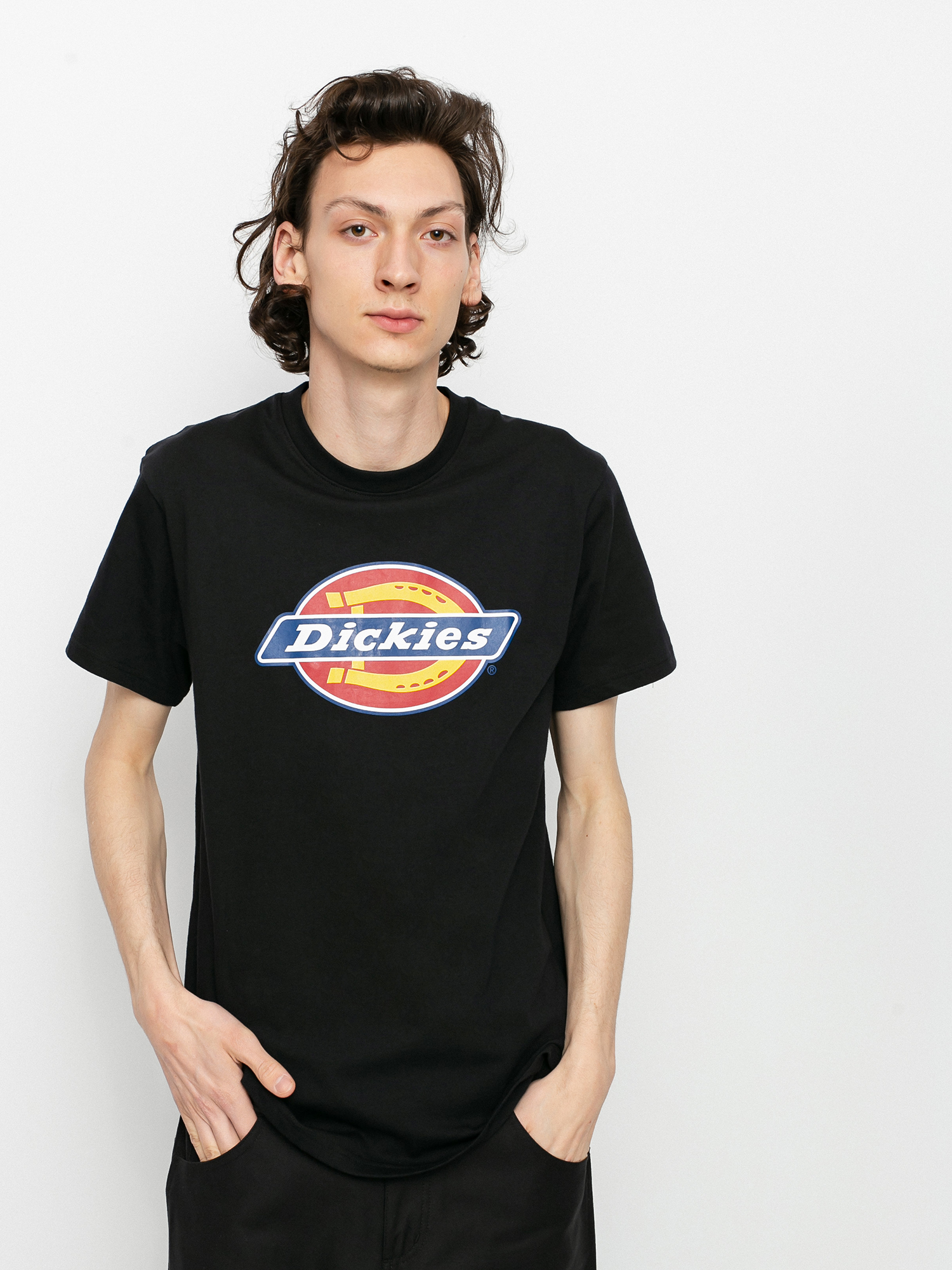 u0424u0443u0442u0431u043eu043bu043au0430 Dickies Icon Logo (black)