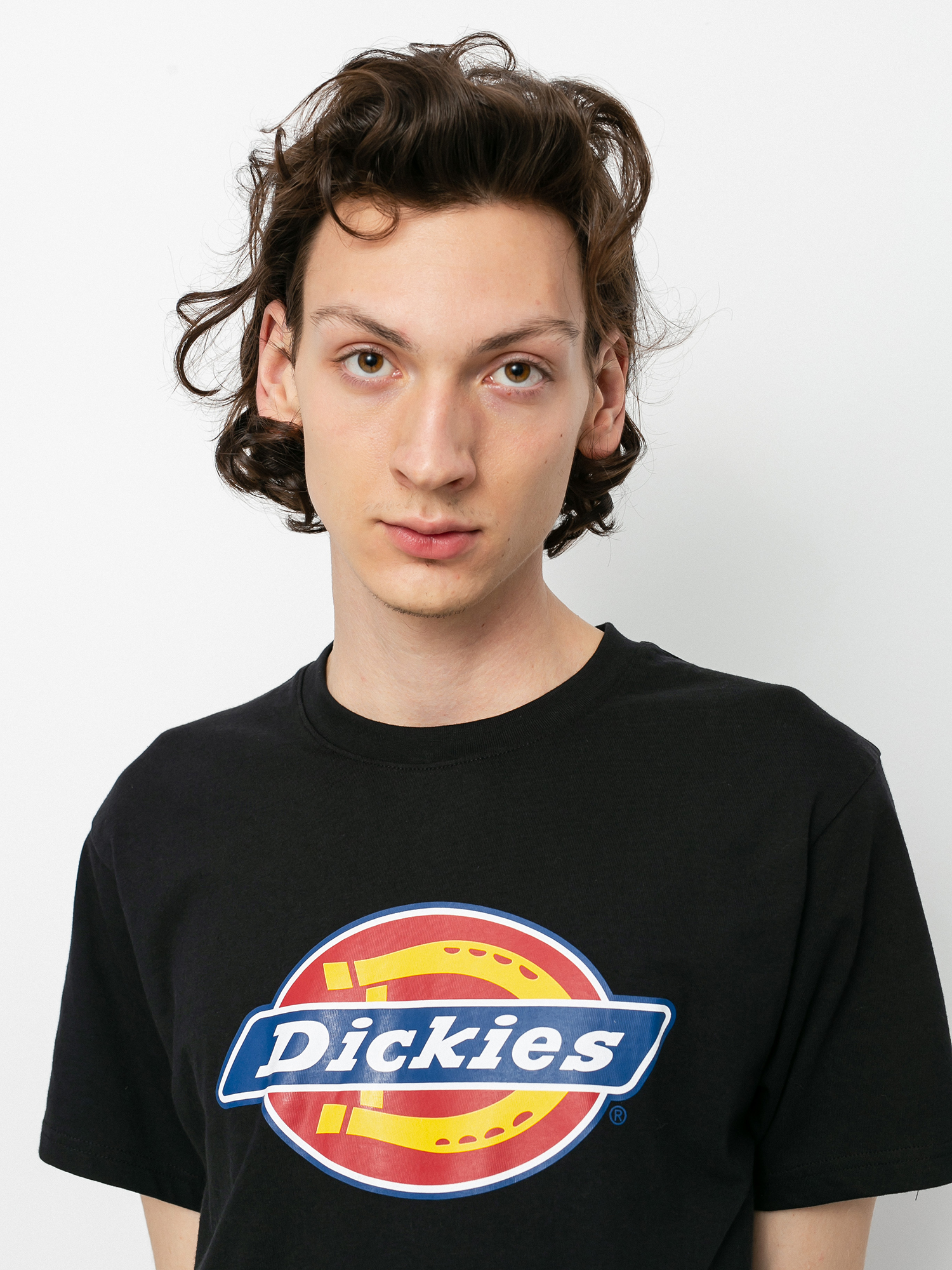 Футболка Dickies Icon Logo (black)