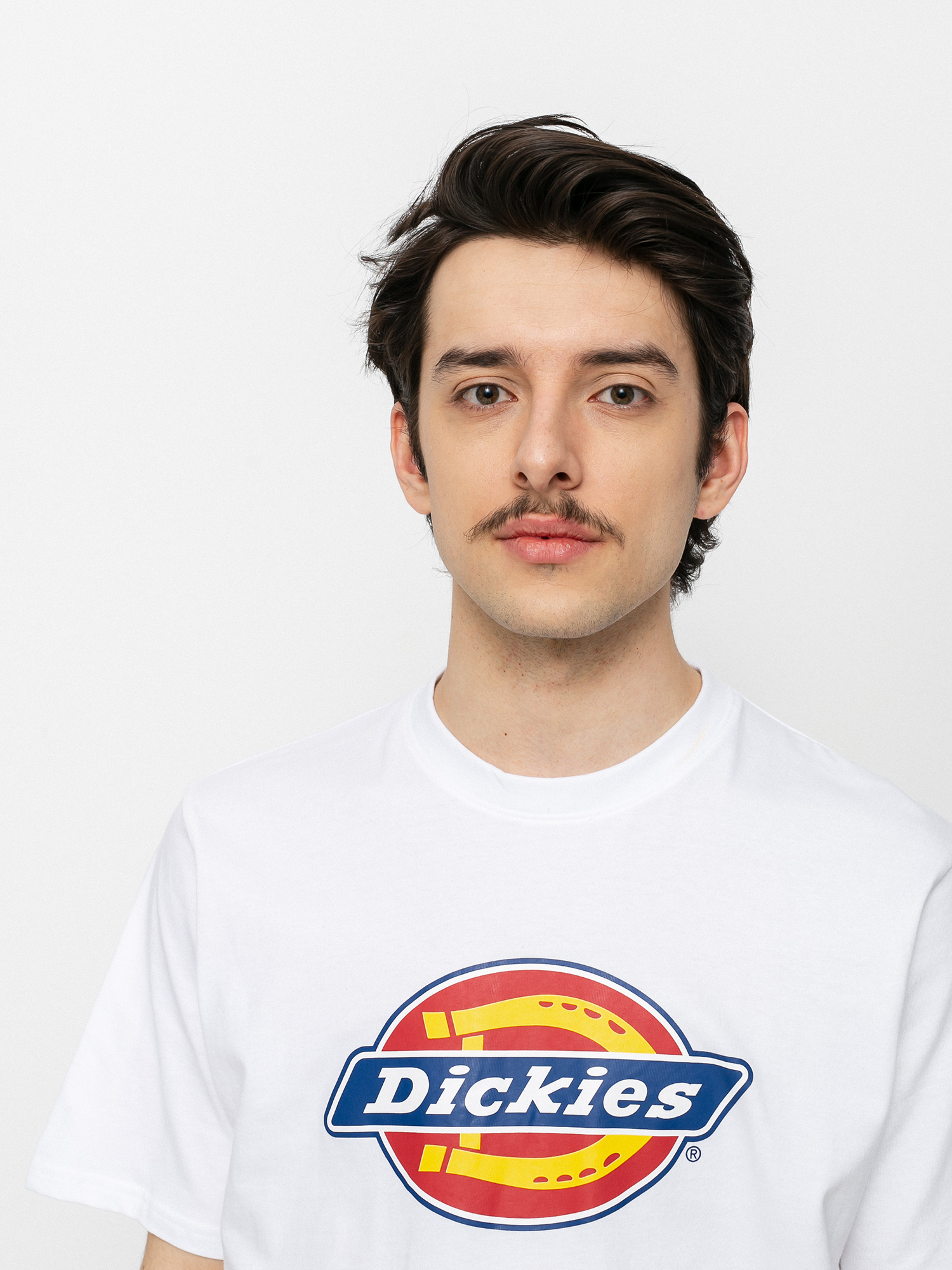 Футболка Dickies Icon Logo (white)