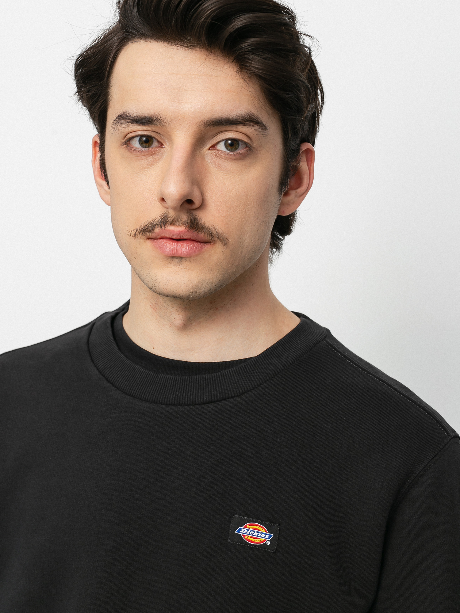 Світшот Dickies Oakport (black)