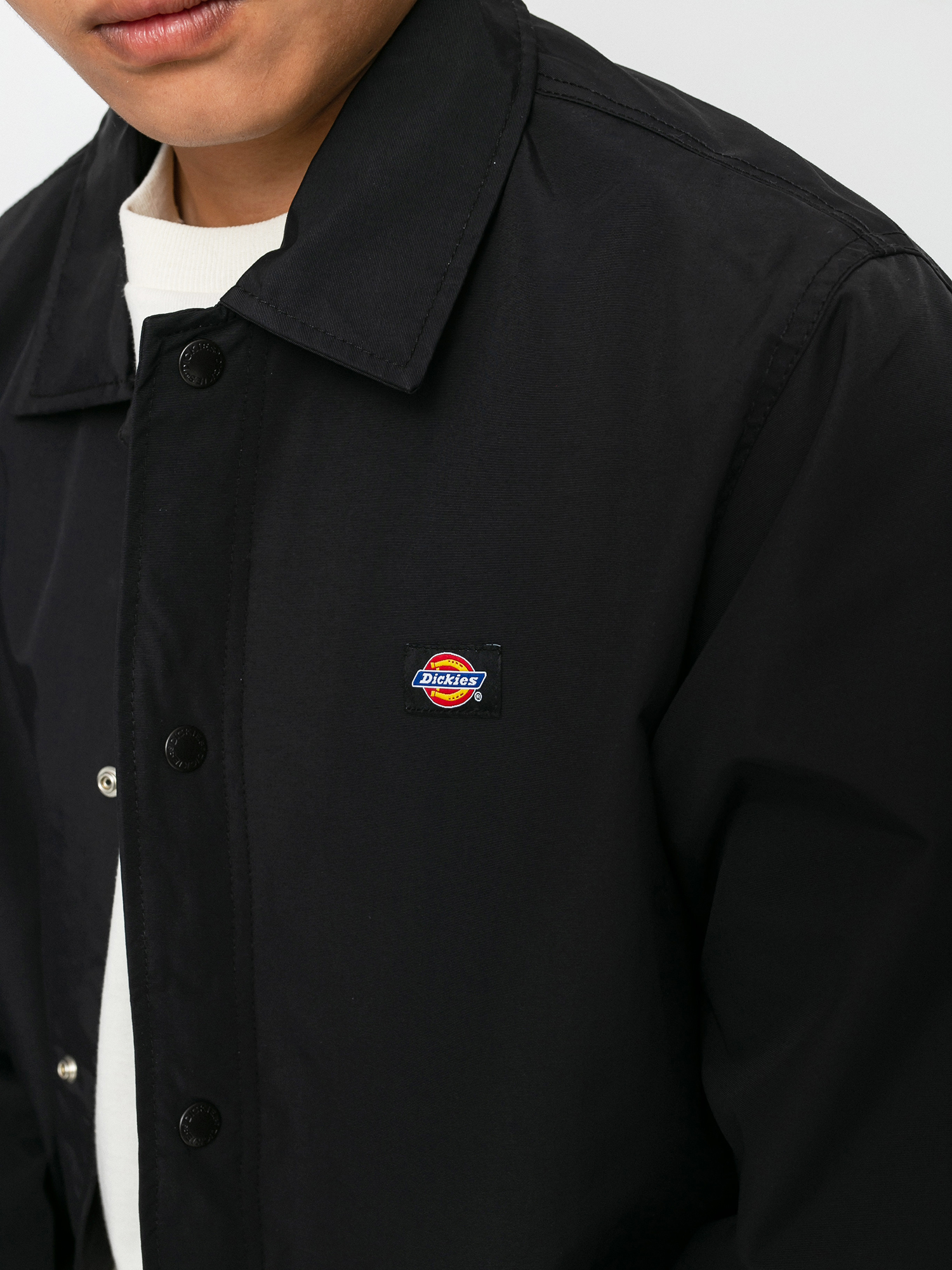 Куртка Dickies Oakport (black)