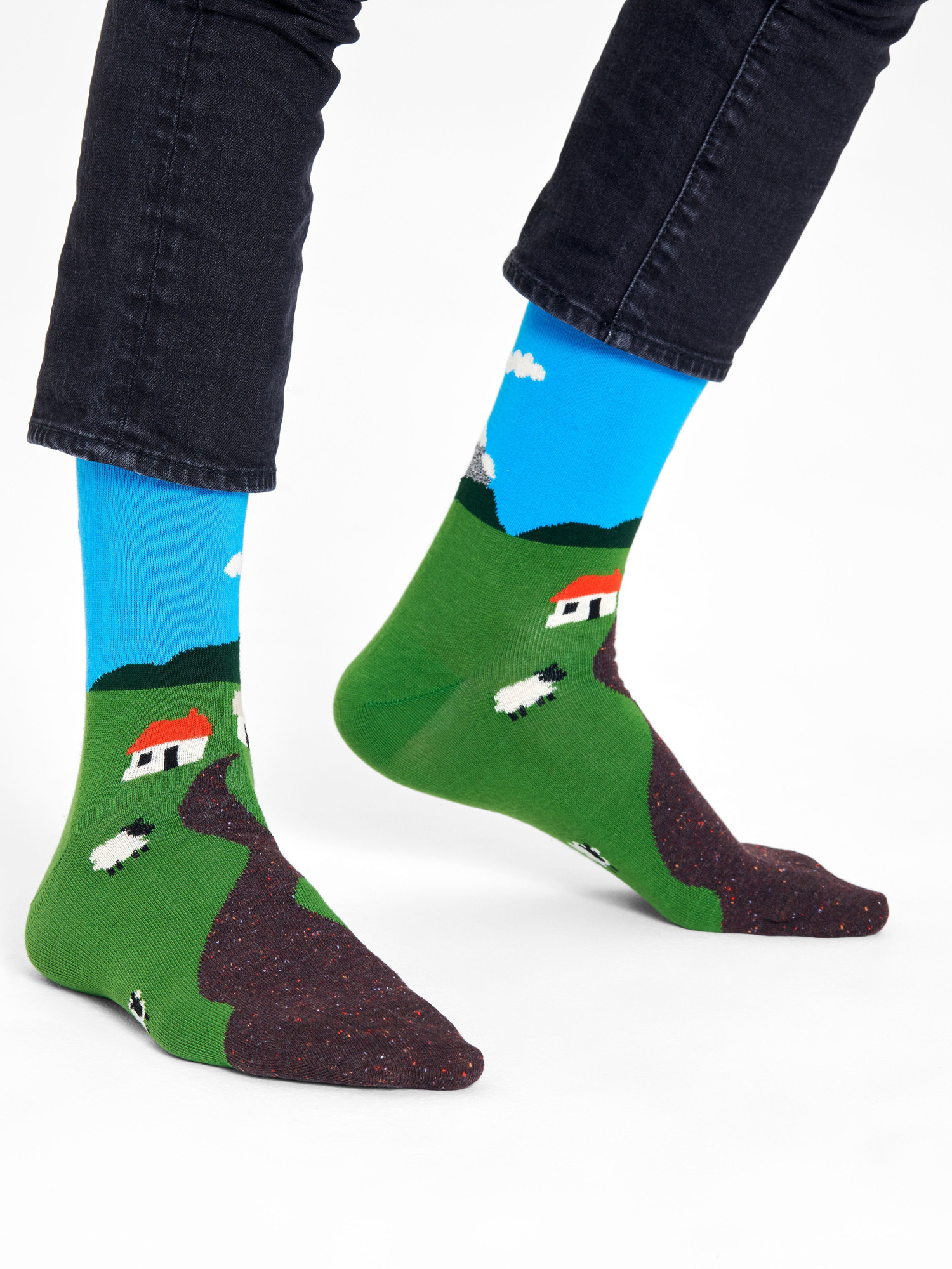  Шкарпетки Happy Socks Little House On The Moorland (blue/green)