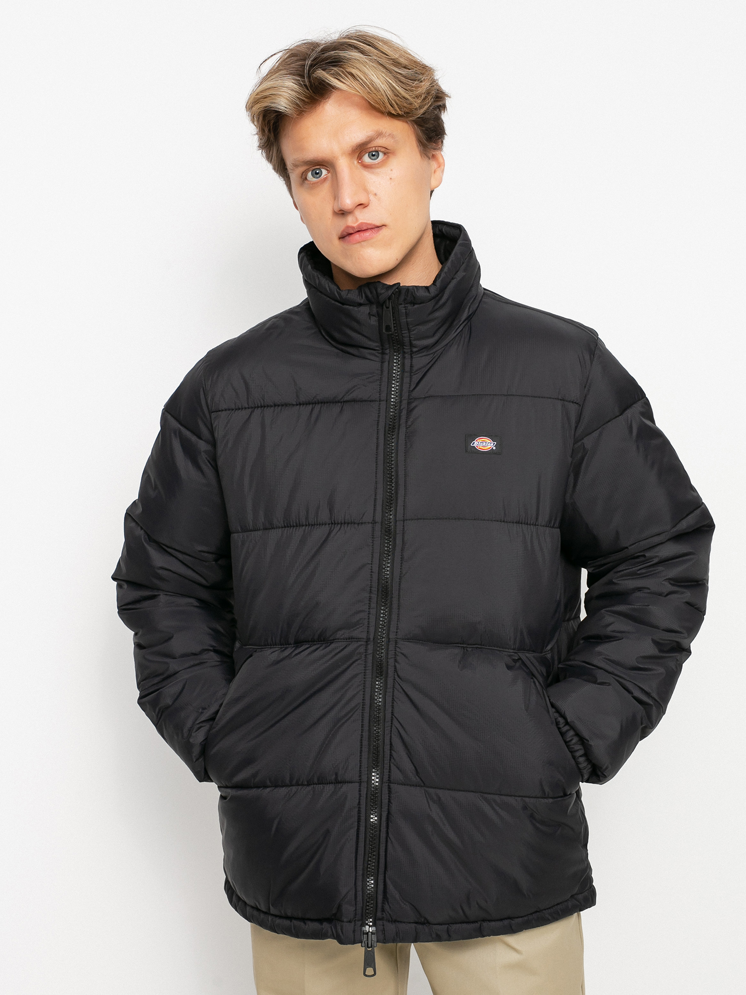 Куртка Dickies Waldenburg (black)