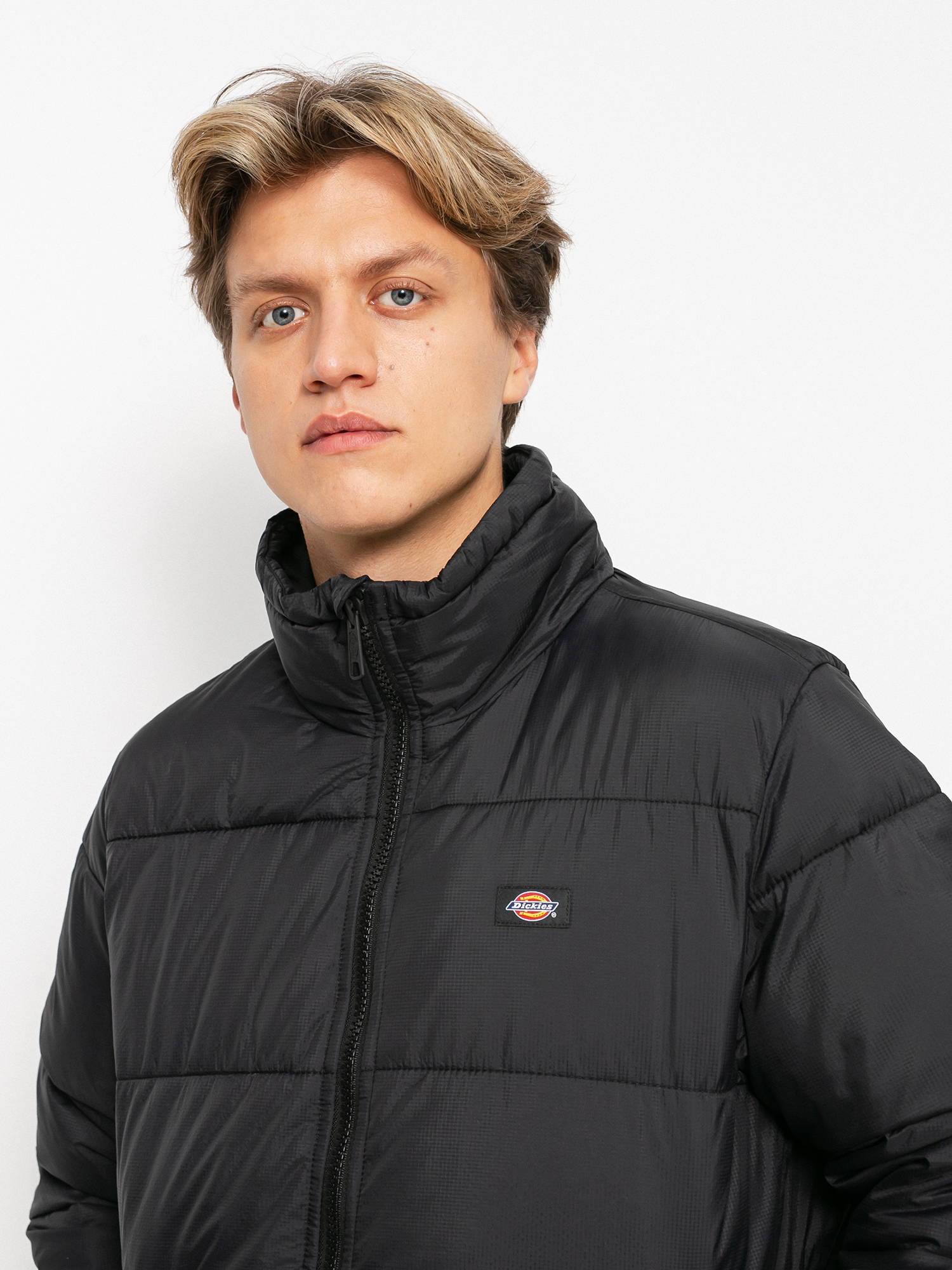 Куртка Dickies Waldenburg (black)