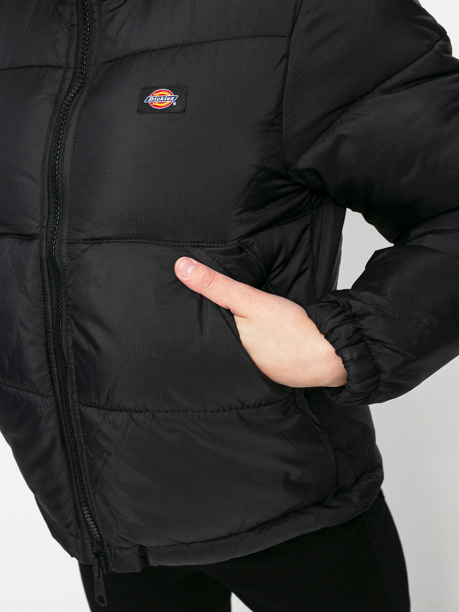 Куртка Dickies Alatna Wmn (black)