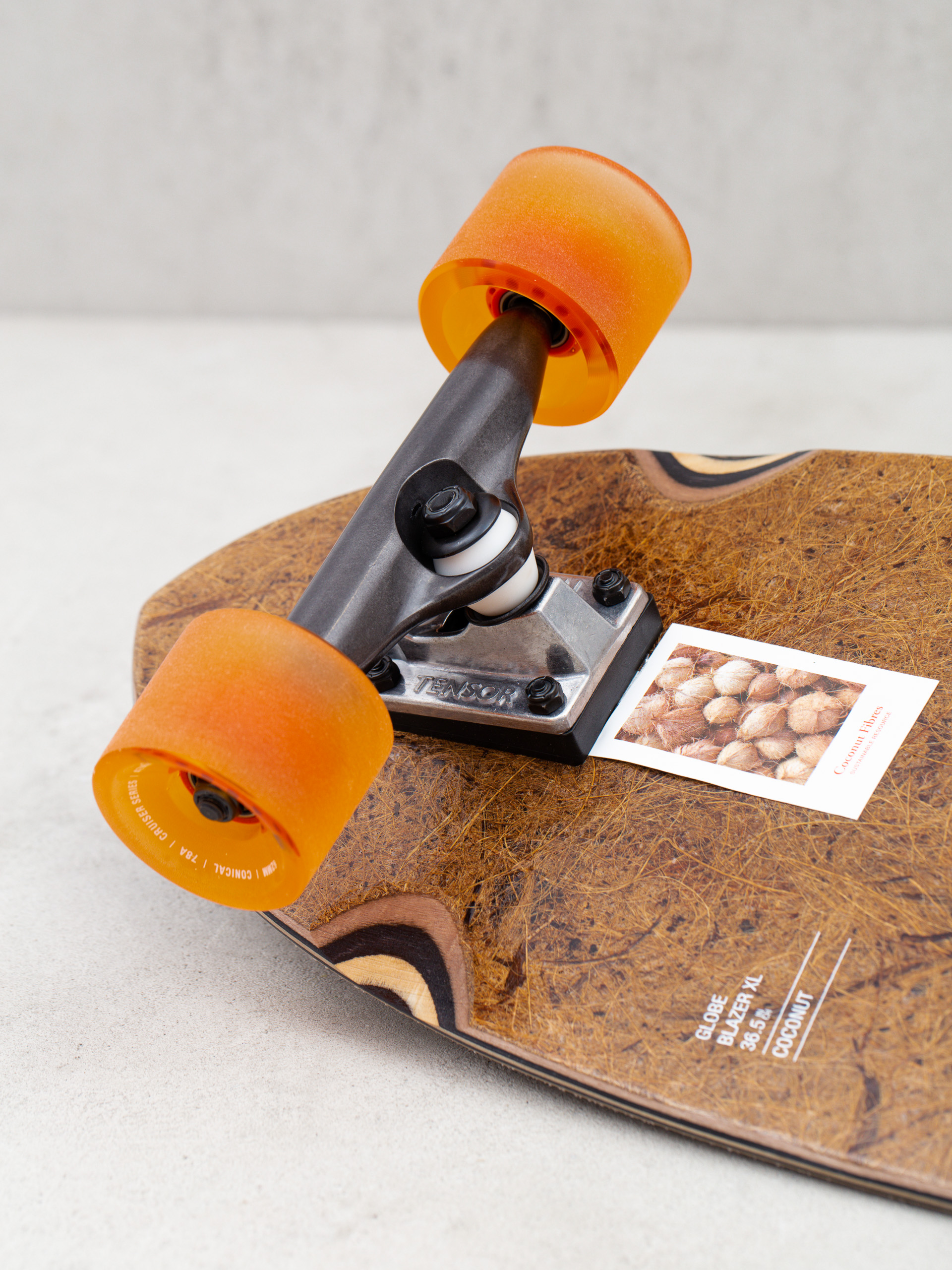 Лонгборд Globe Blazer XL (coconut/mountains)