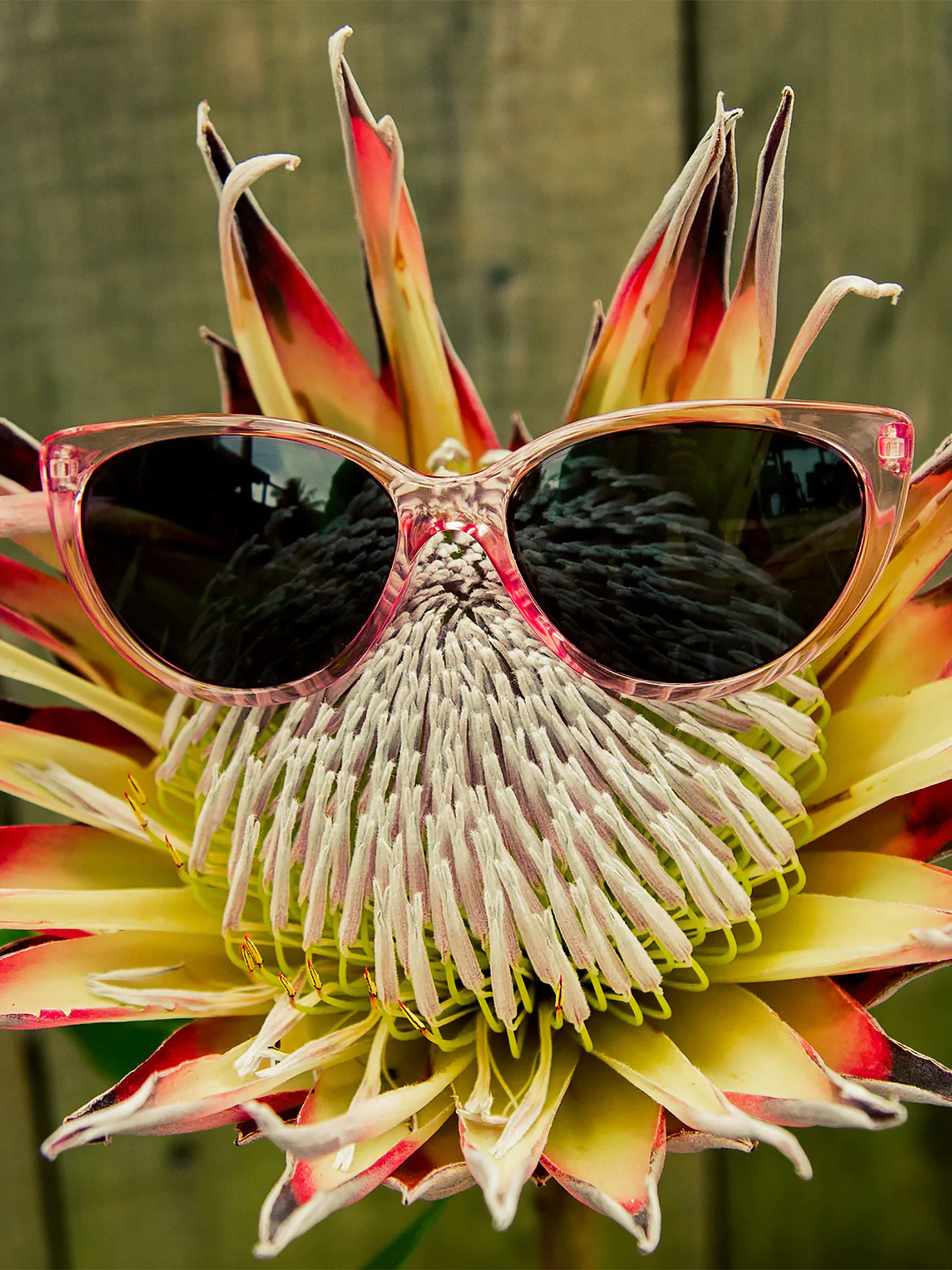 Сонцезахисні окуляри Volcom Butter Wmn (crystal light pink/gray)