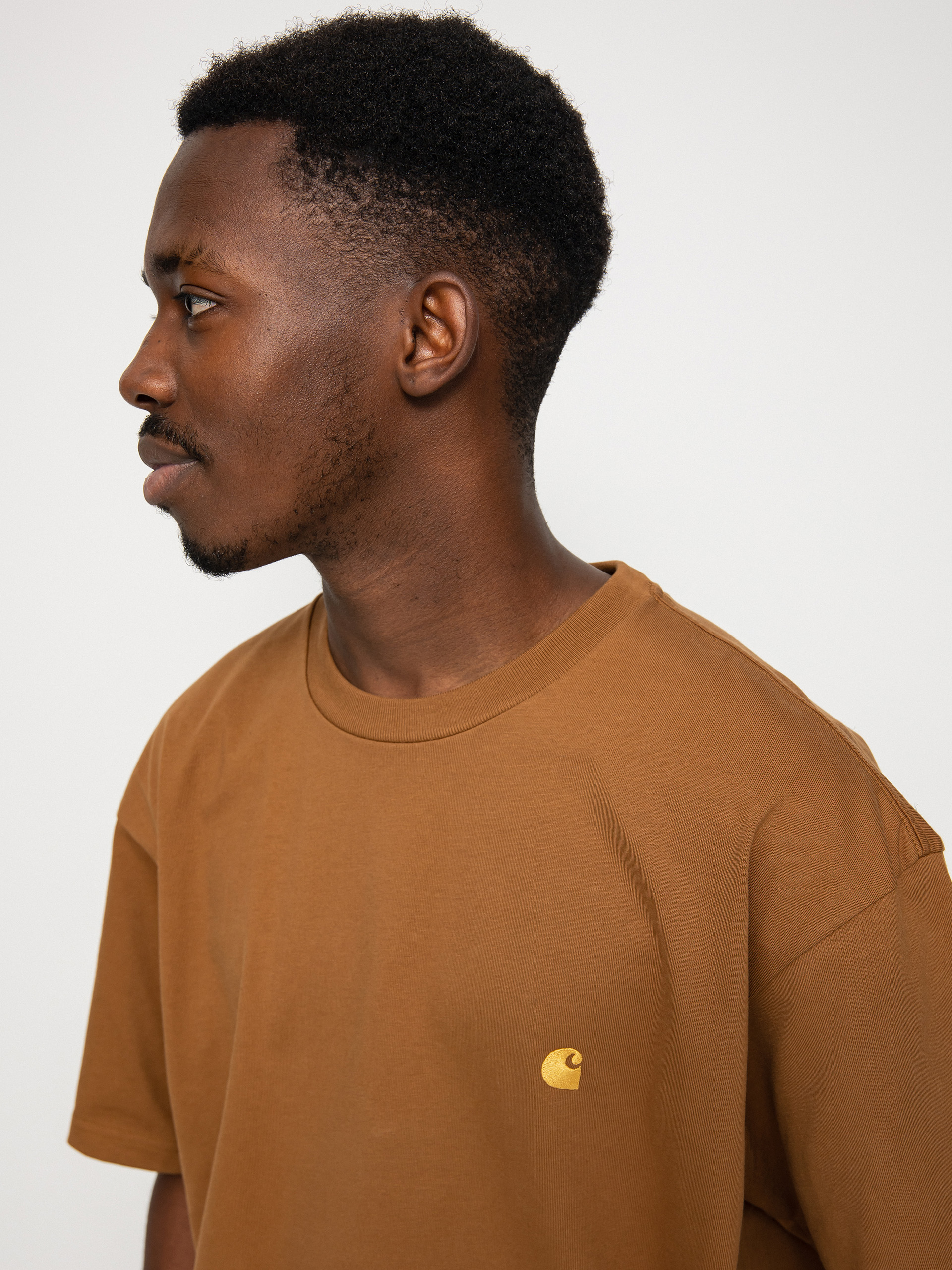 Футболка Carhartt WIP Chase (hamilton brown/gold)