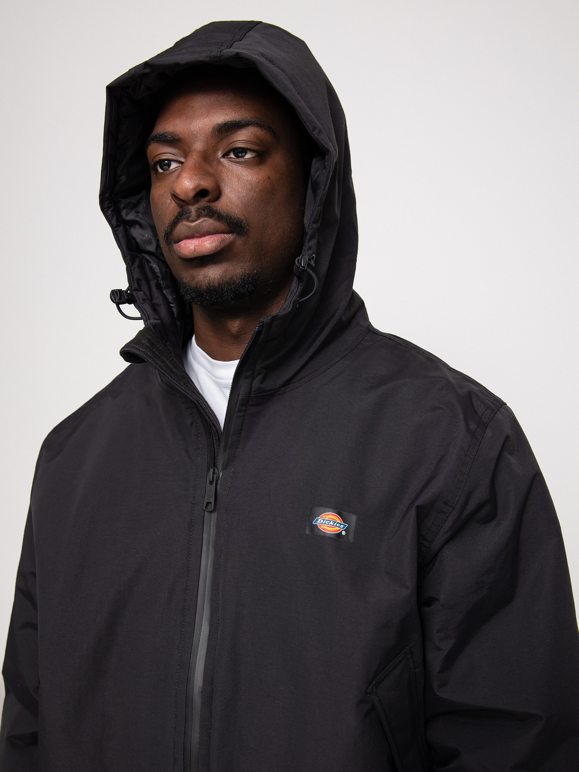 Куртка Dickies New Sarpy (black)