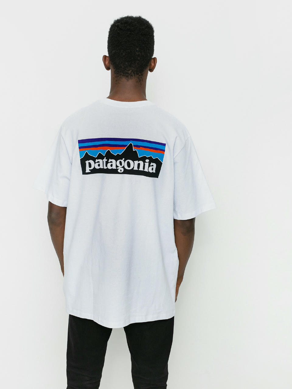 Футболка Patagonia P6 Logo Responsibili (white)