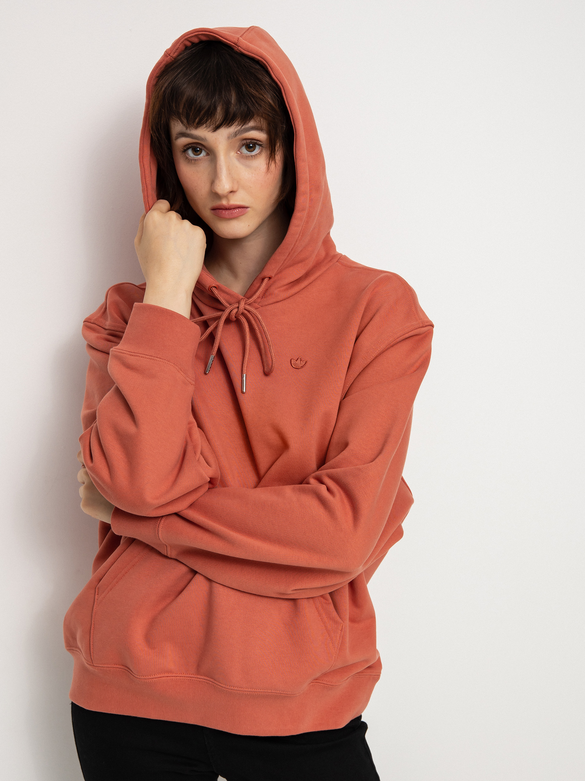 Худі adidas Originals Small Logo Shmoo HD Wmn (magear)