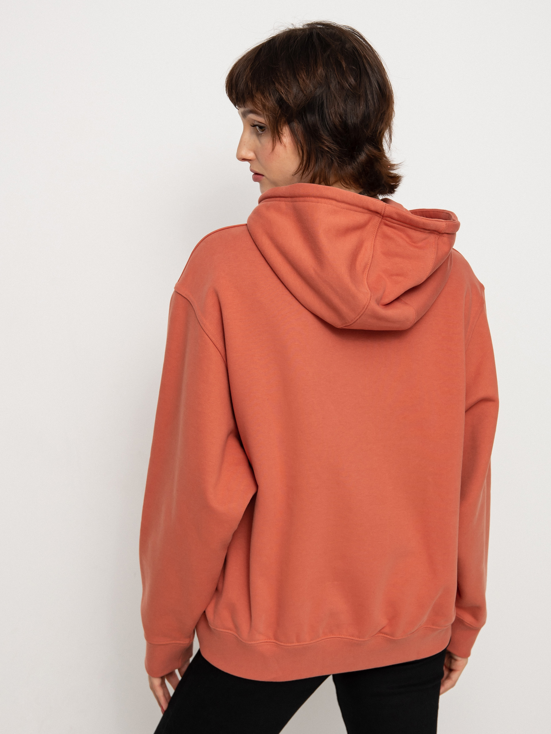 Худі adidas Originals Small Logo Shmoo HD Wmn (magear)