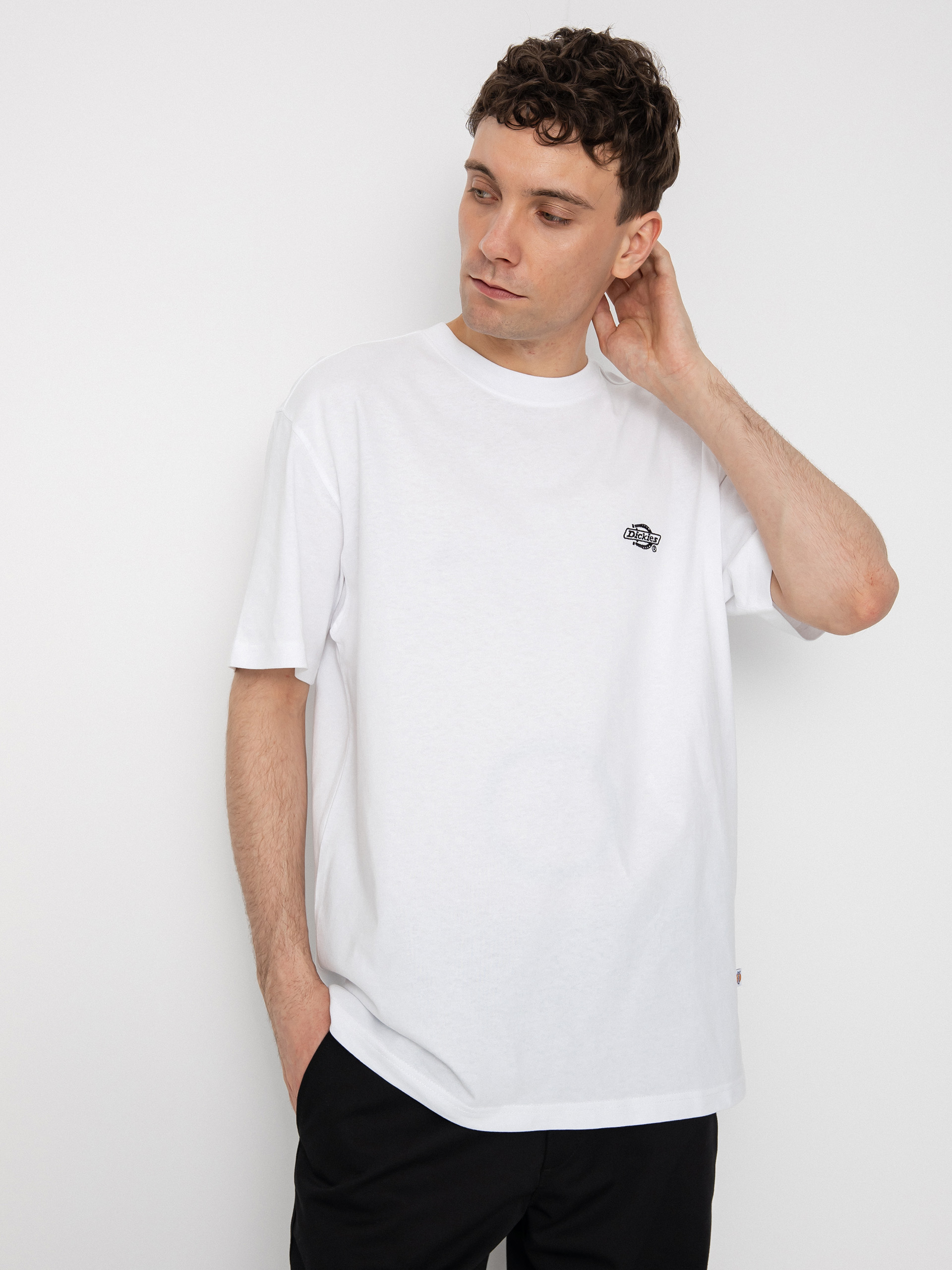 Футболка Dickies Summerdale (white)