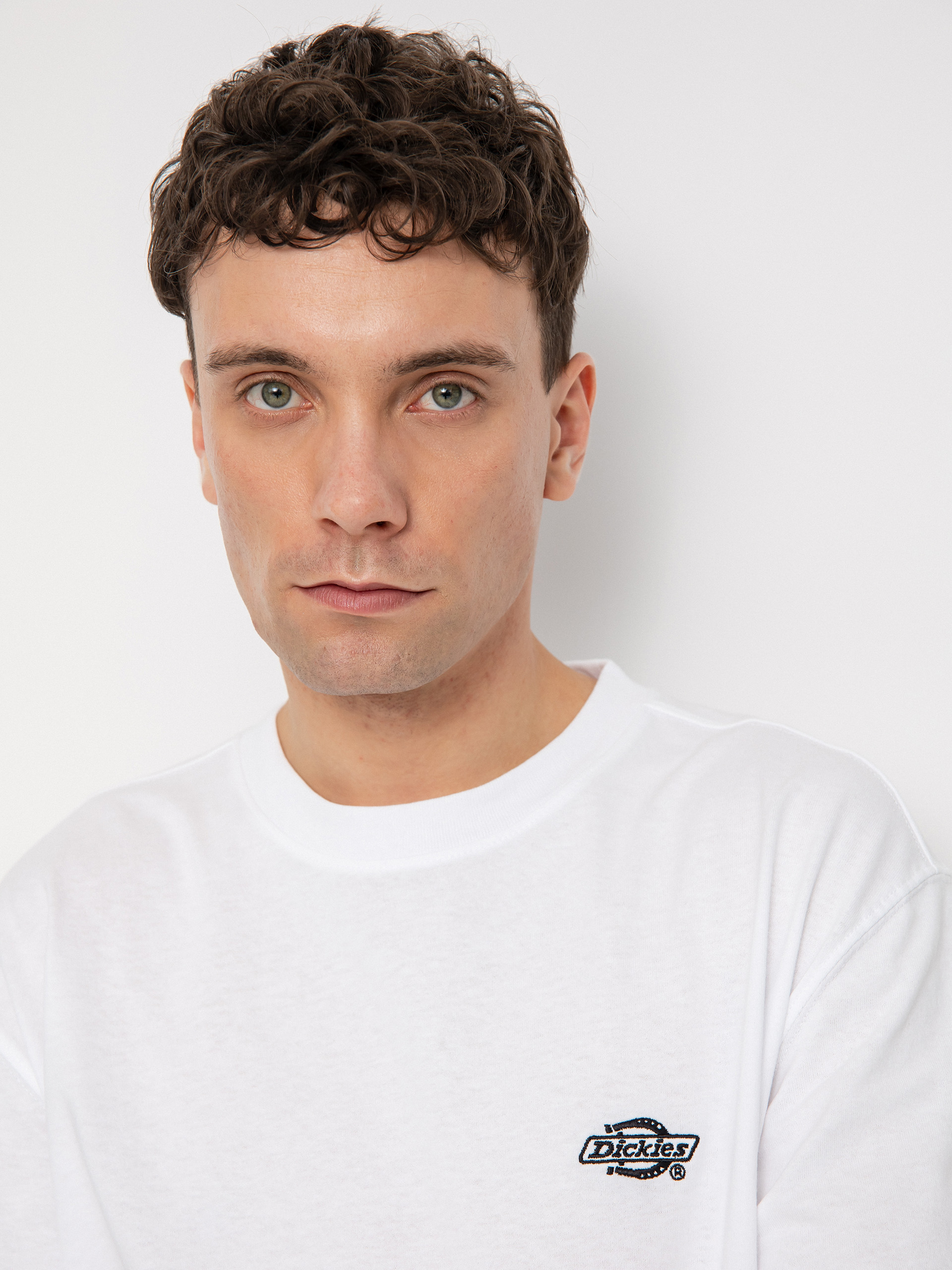 Футболка Dickies Summerdale (white)