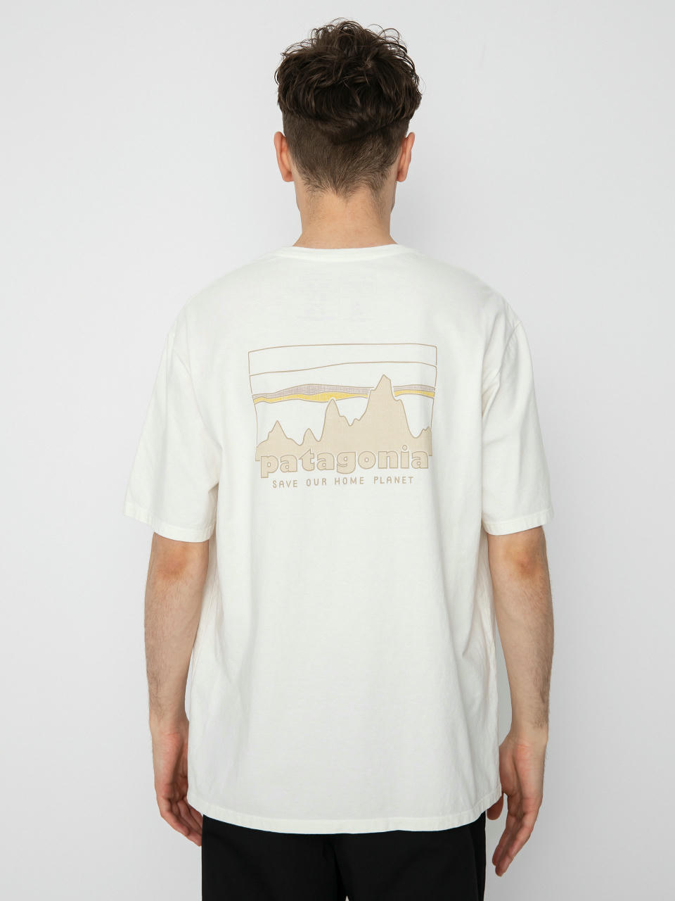 Футболка Patagonia 73 Skyline Organic (birch white)