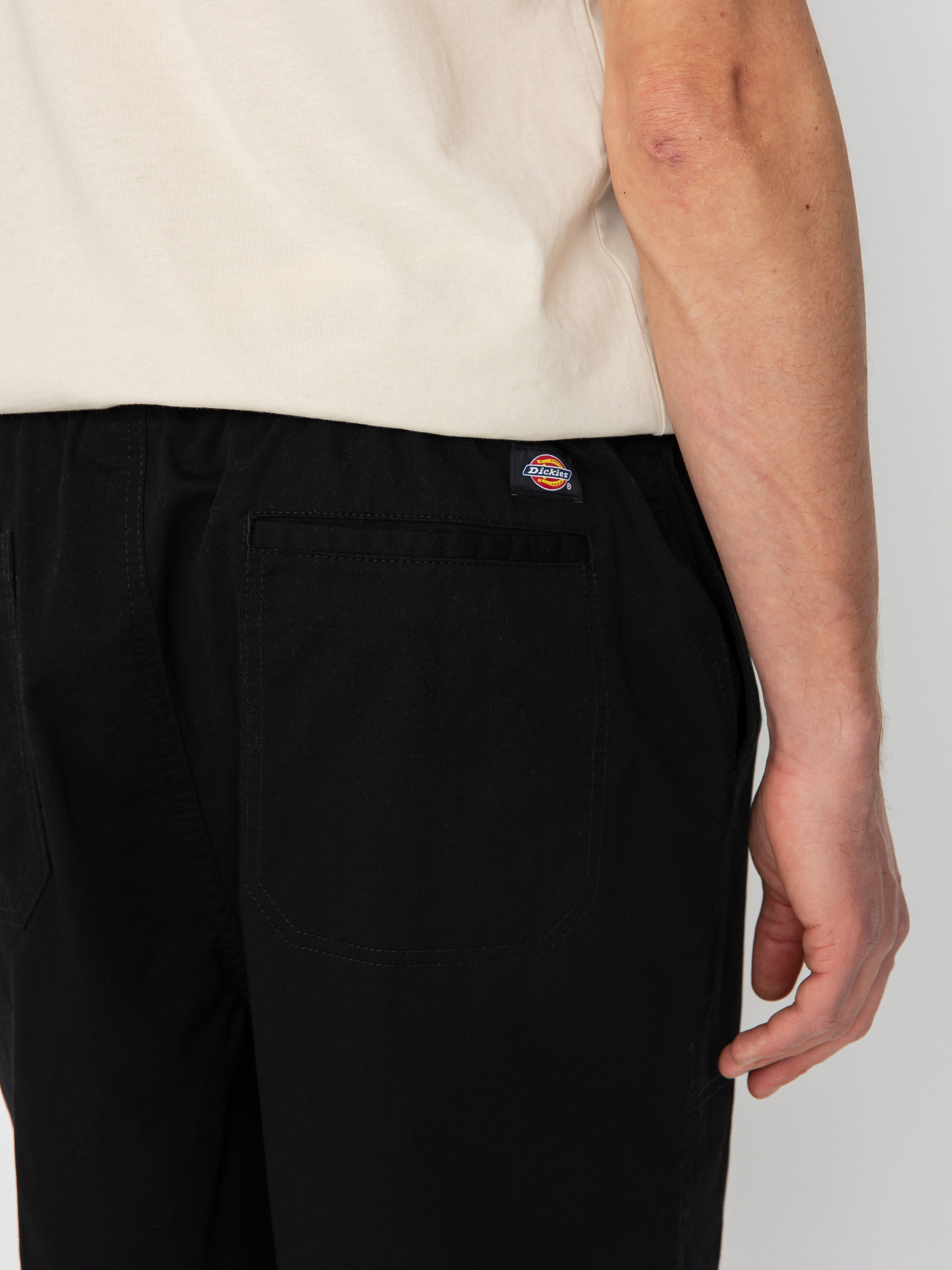 Шорти Dickies Pelican Rapids (black)