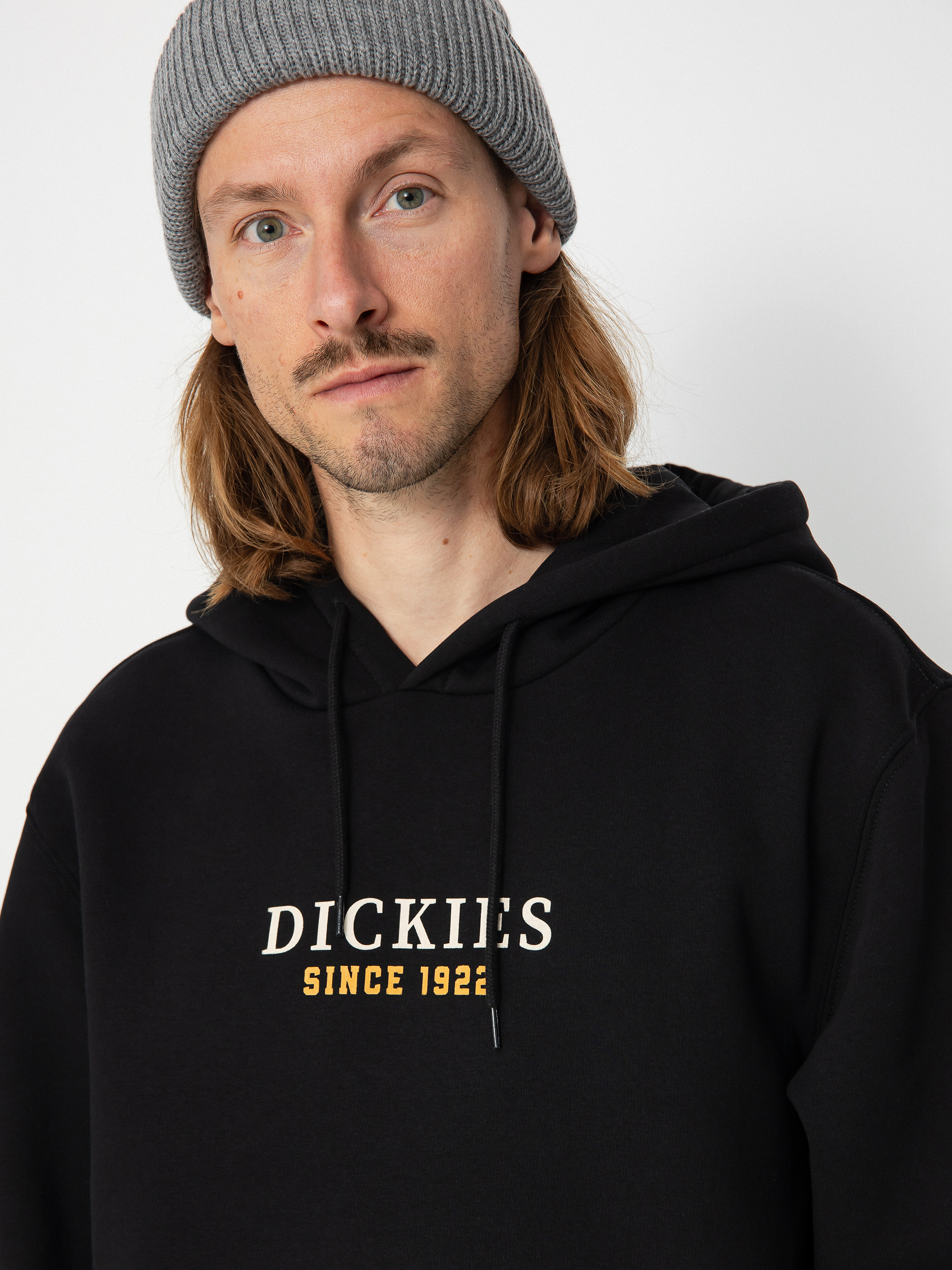 Худі Dickies Park HD (black)