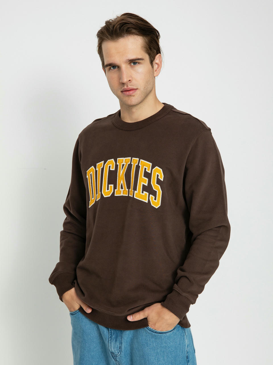 Світшот Dickies Aitkin (java)