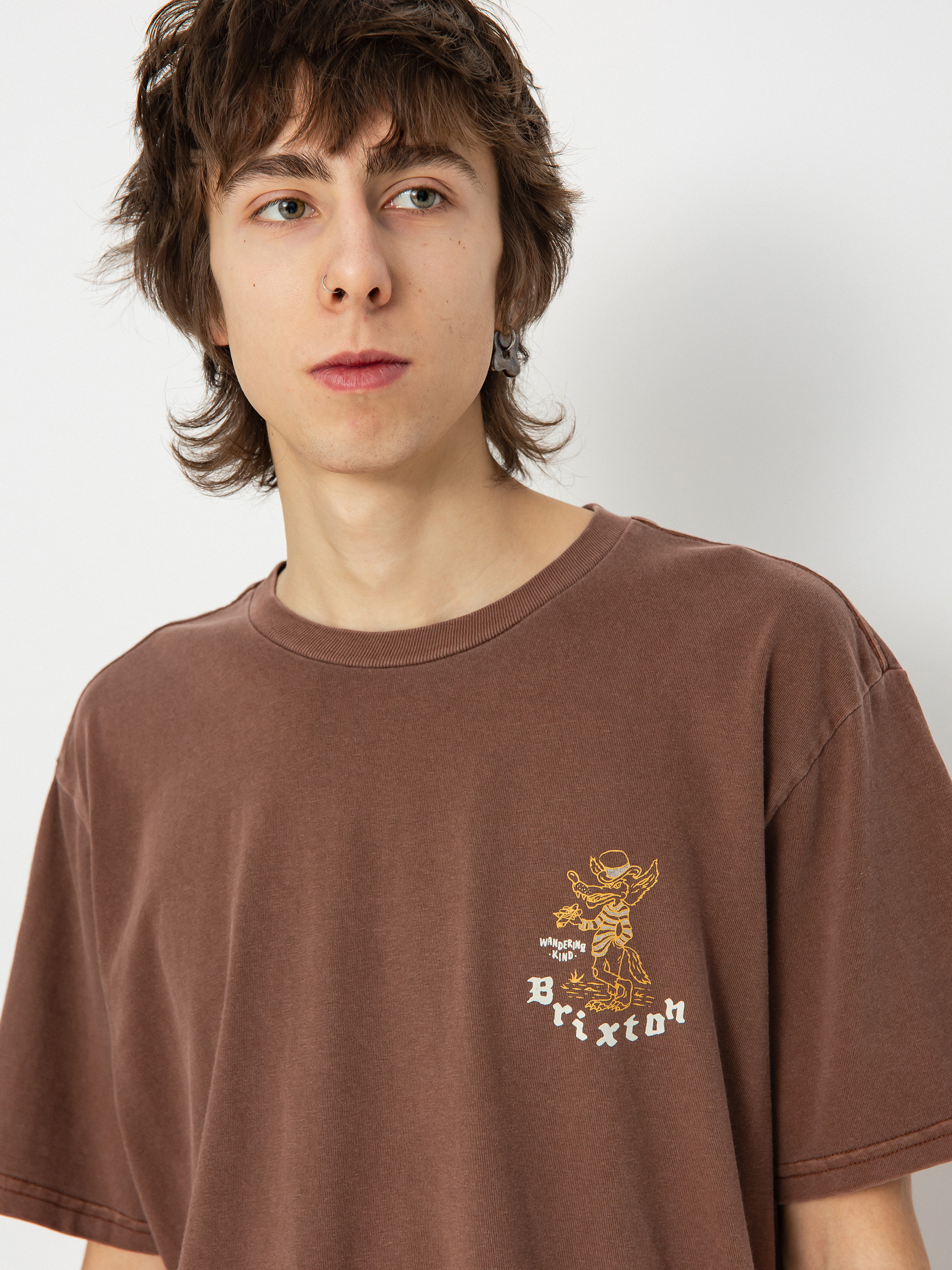 Футболка Brixton Oakwood Stt (sepia worn wash)