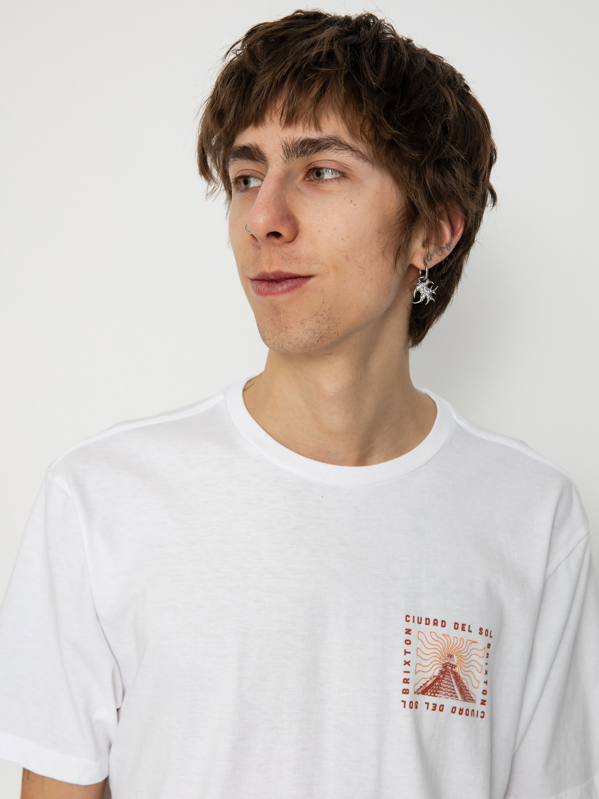 Футболка Brixton Del Sol Tlrt (white)