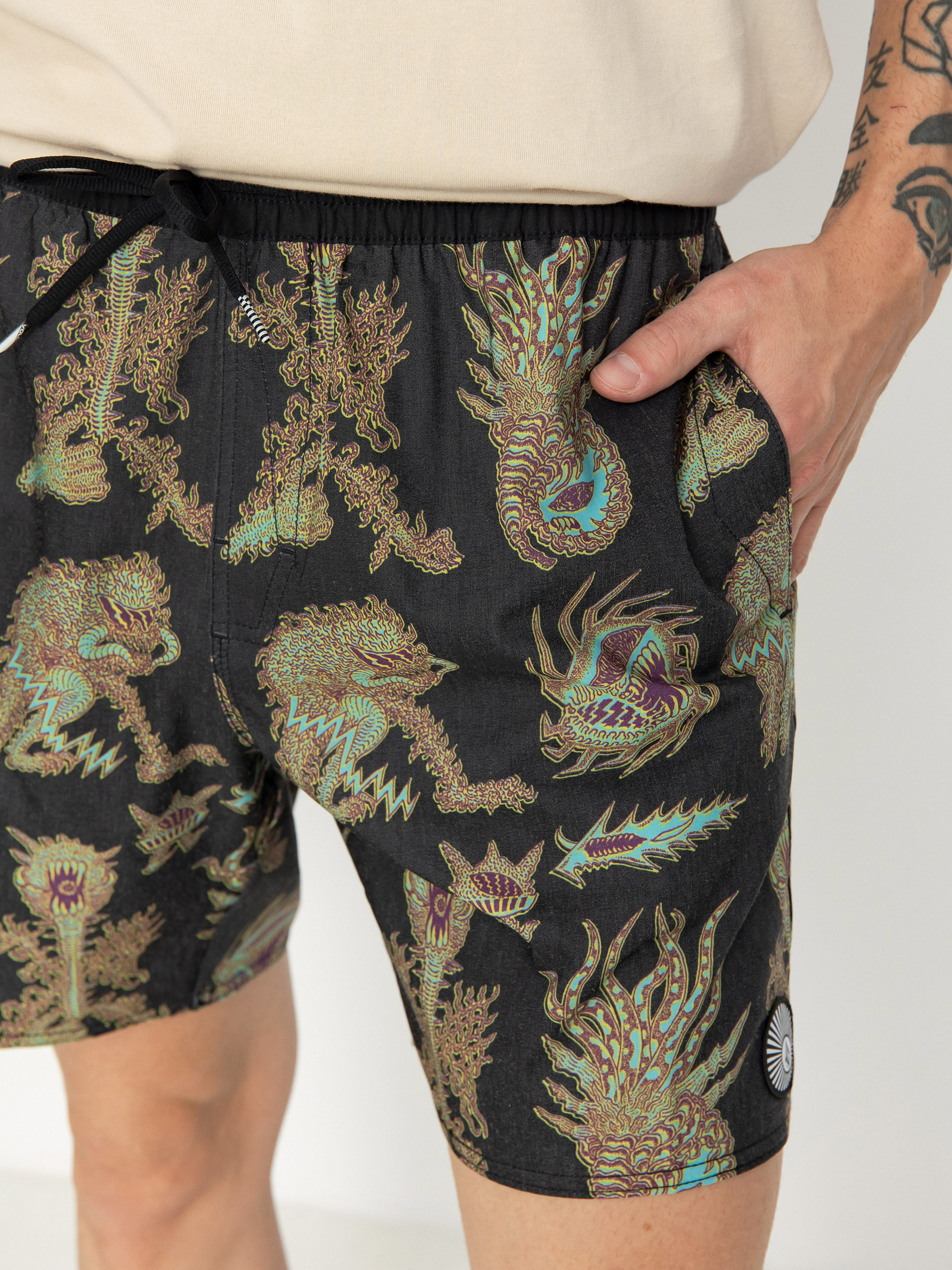 Шорти Volcom Fa Tetsunori 17 (black)