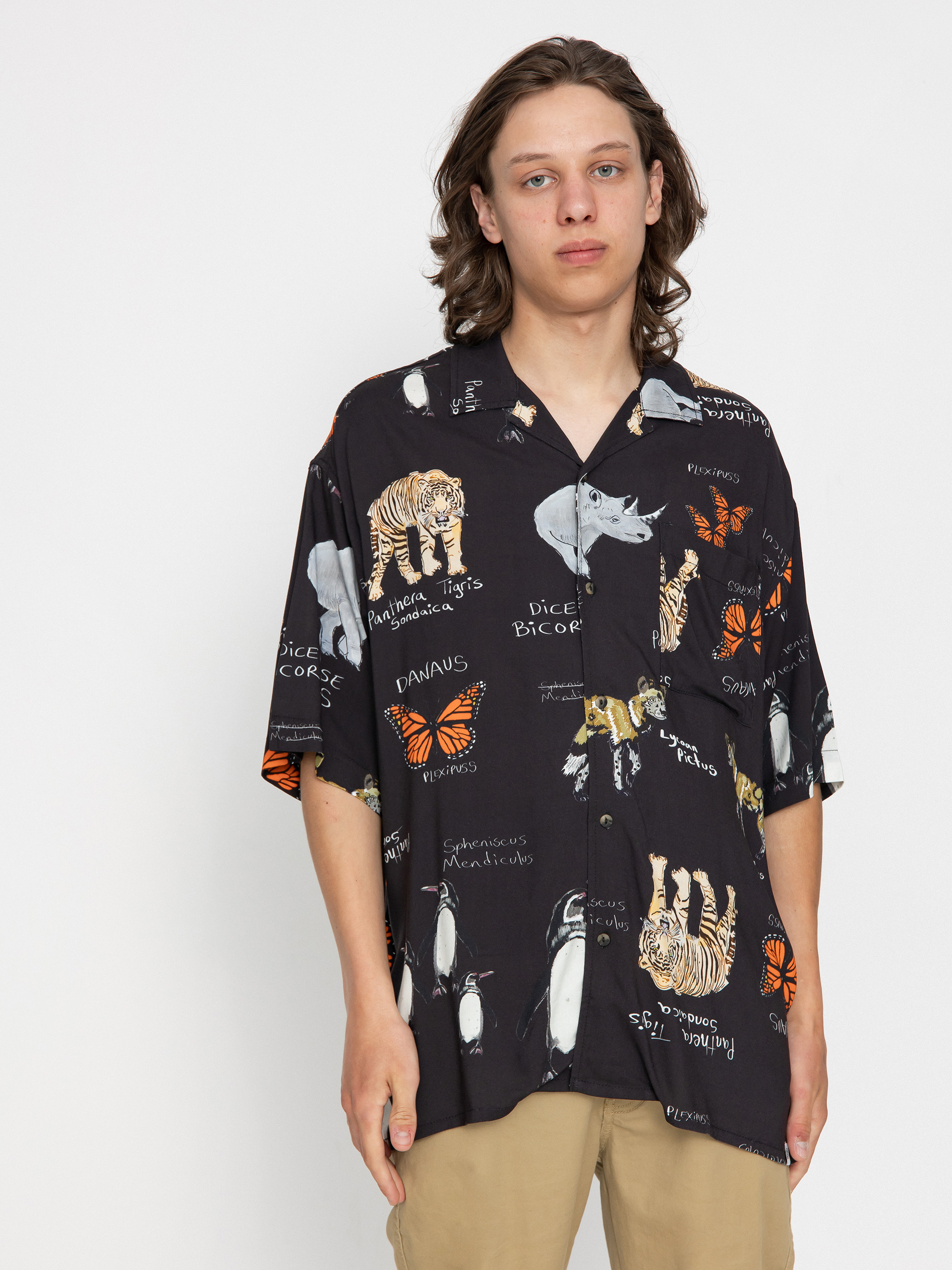 u0421u043eu0440u043eu0447u043au0430 Element Resort (inside out species)