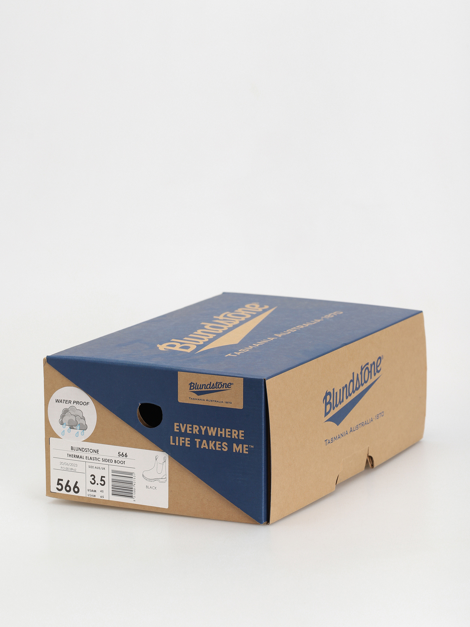 Взуття Blundstone 566 (black)