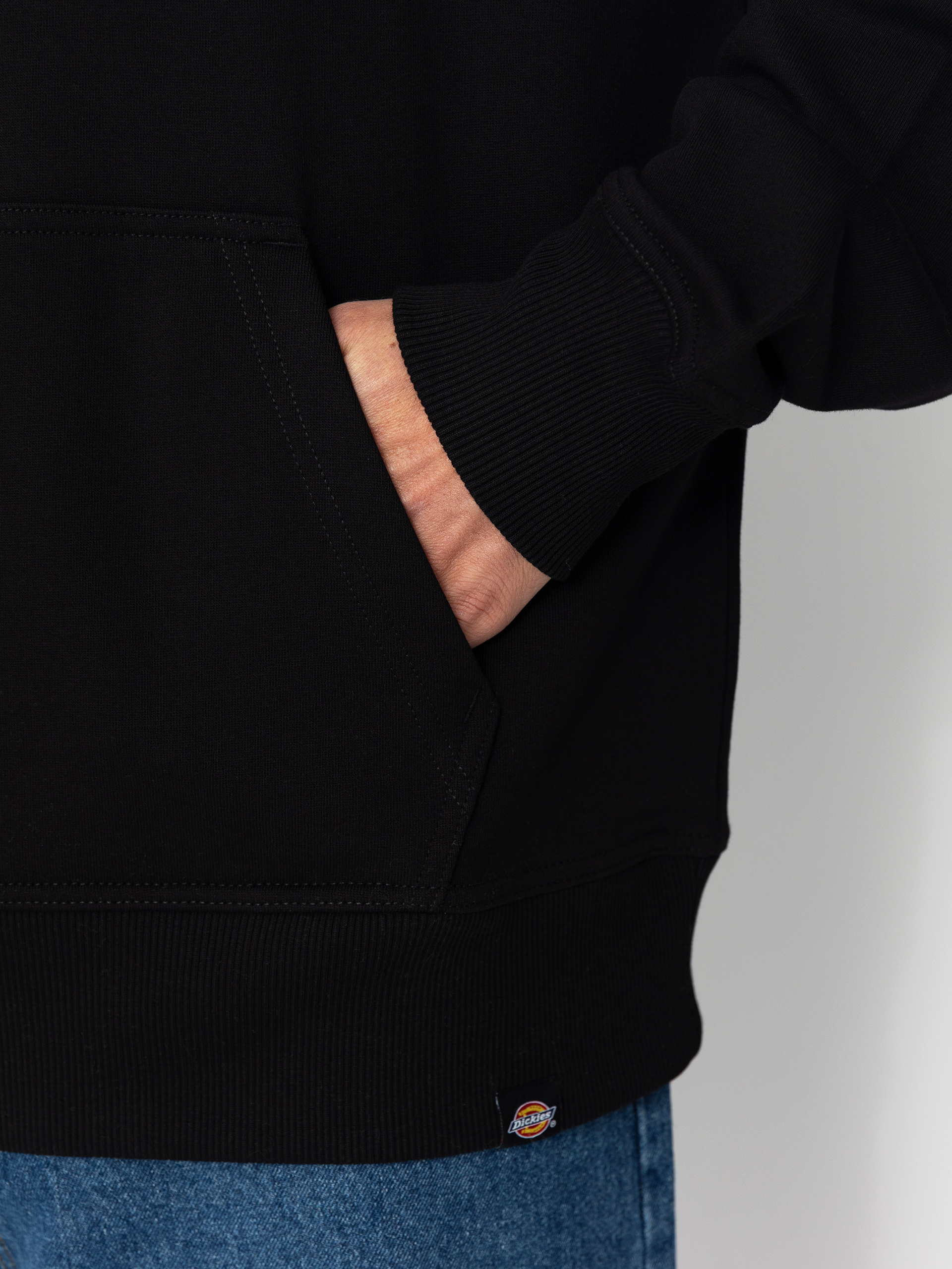 Худі Dickies Globe HD (black)