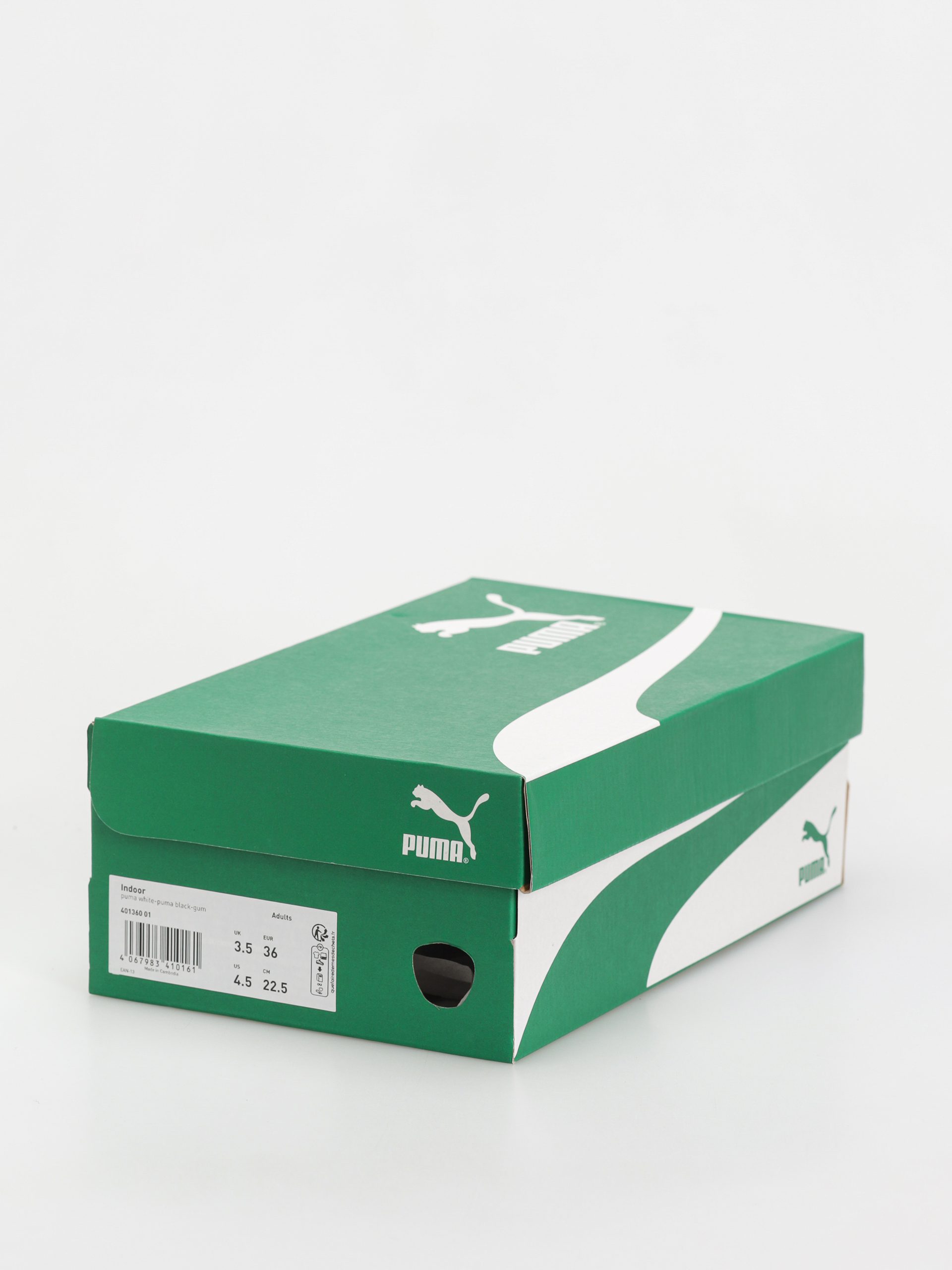 Взуття Puma Indoor (puma white puma black gum)