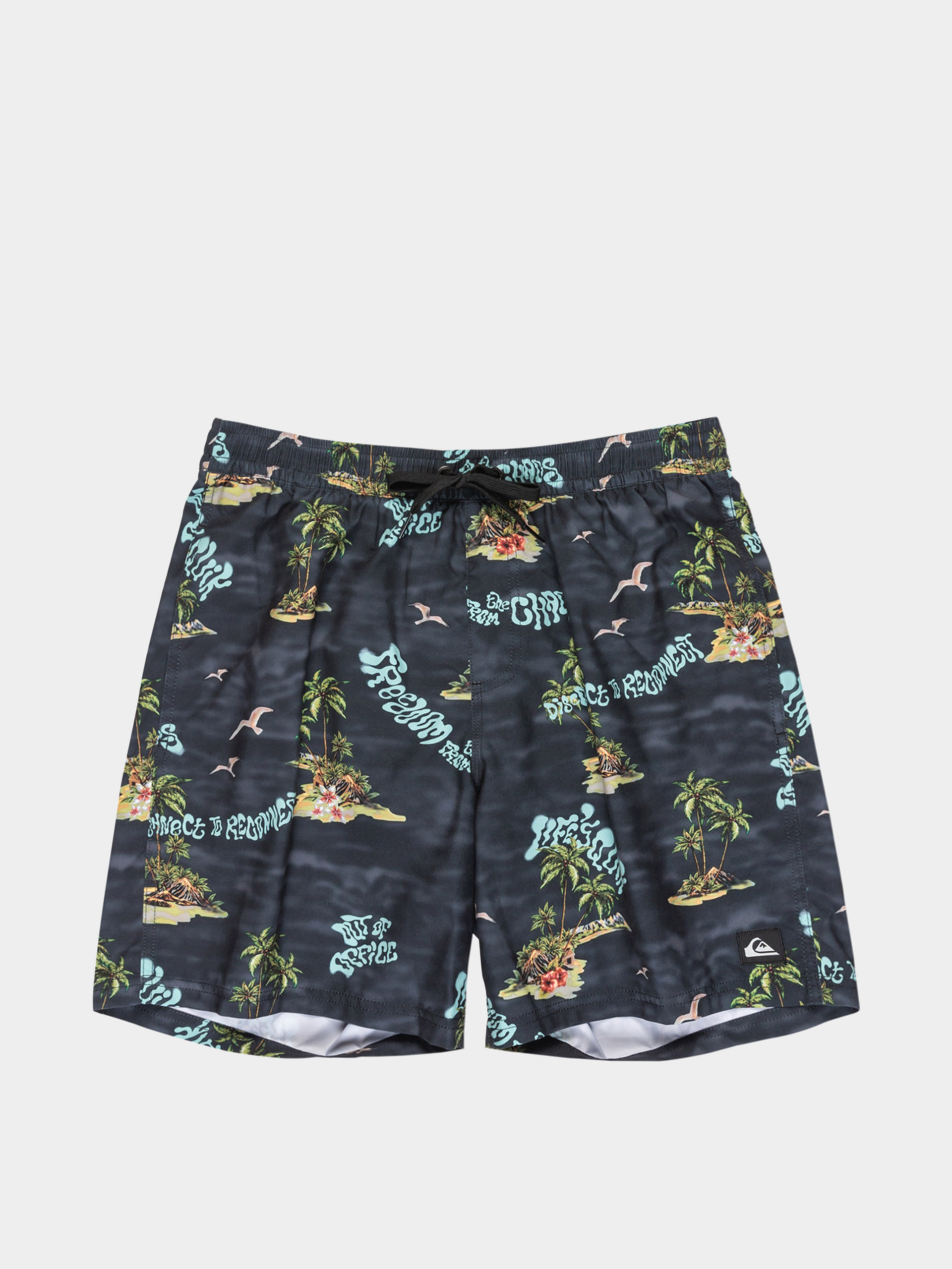 Шорти Quiksilver Everyday Straight Volley 17 (black naturama)