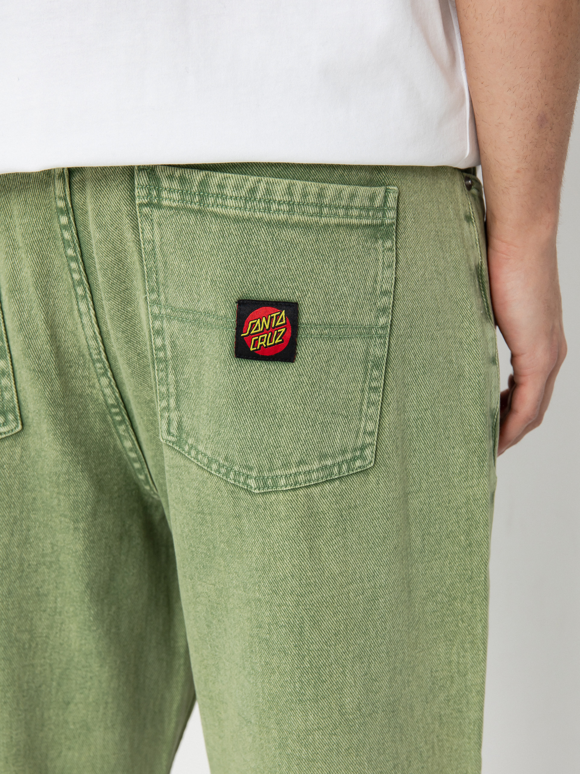 Штани Santa Cruz Big (iguana)