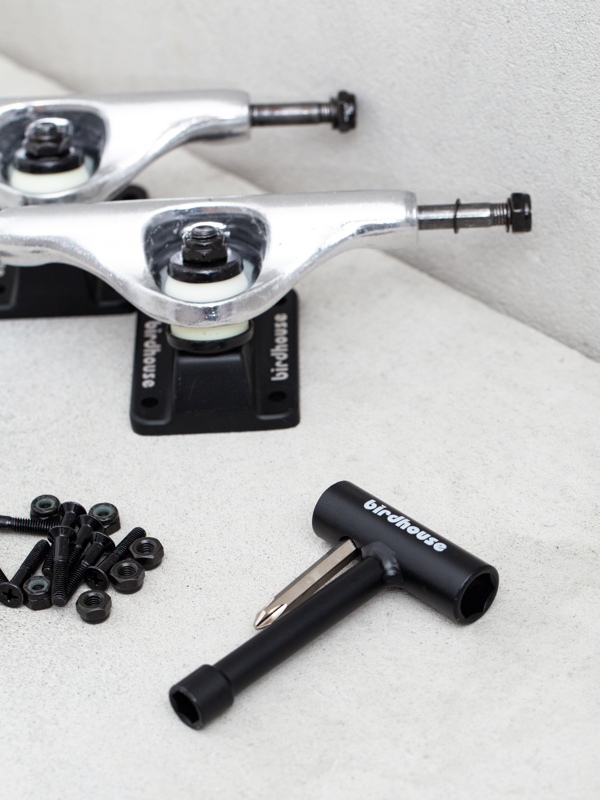 Підвіски Birdhouse Zestaw 5.25 Component Kit (silver/black)