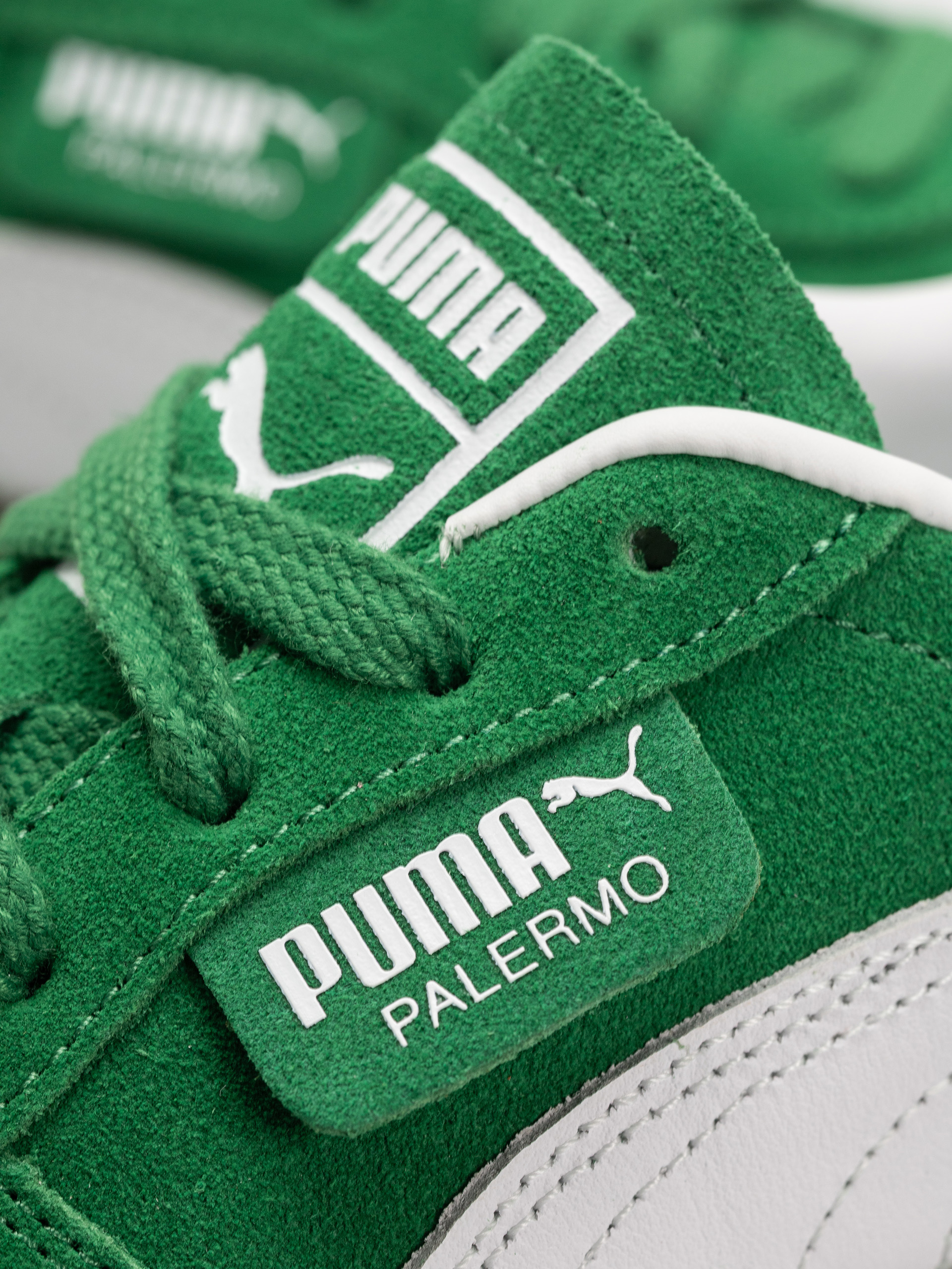 Взуття Puma Palermo (archive green/puma white)