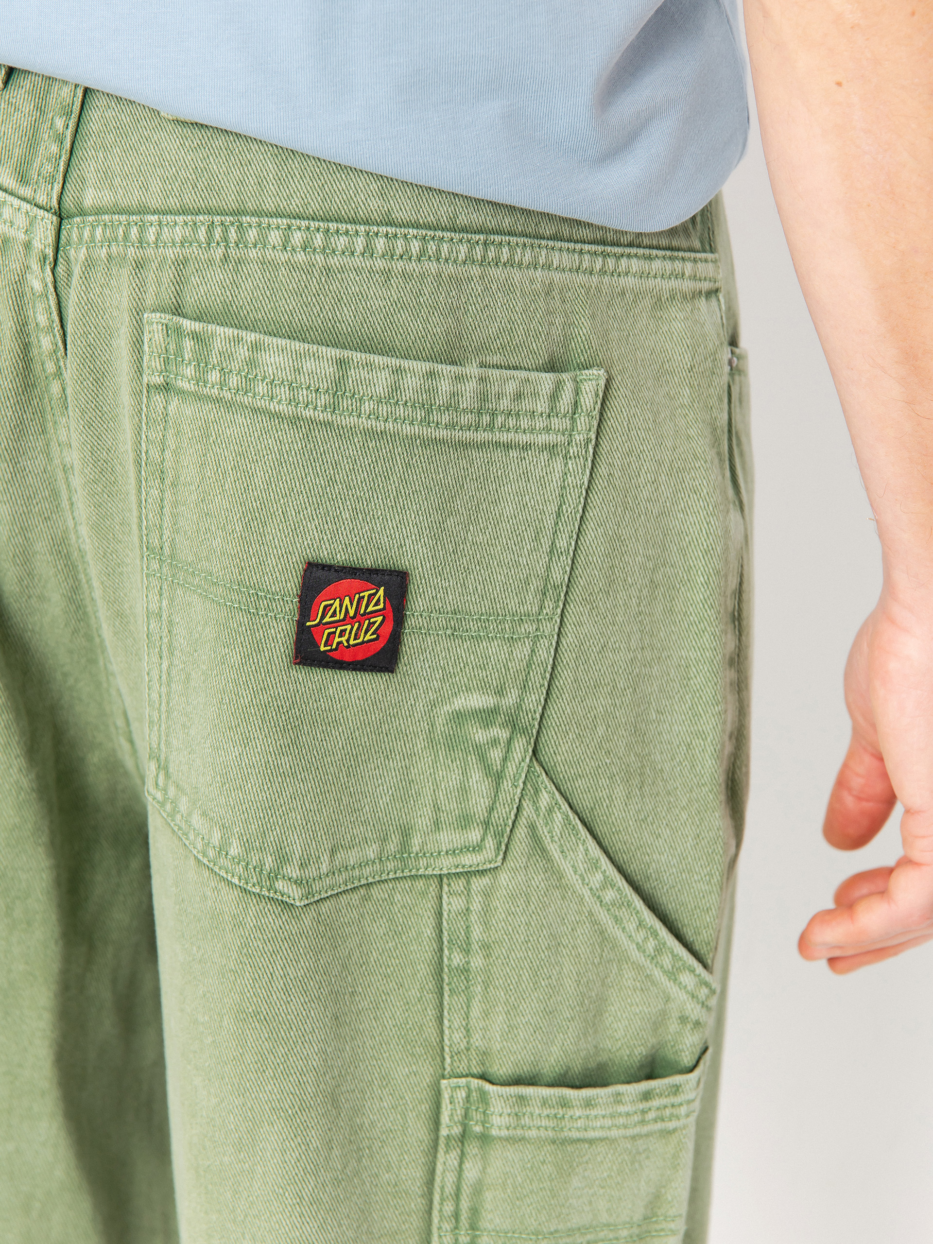 Штани Santa Cruz Carpenter Big (iguana)