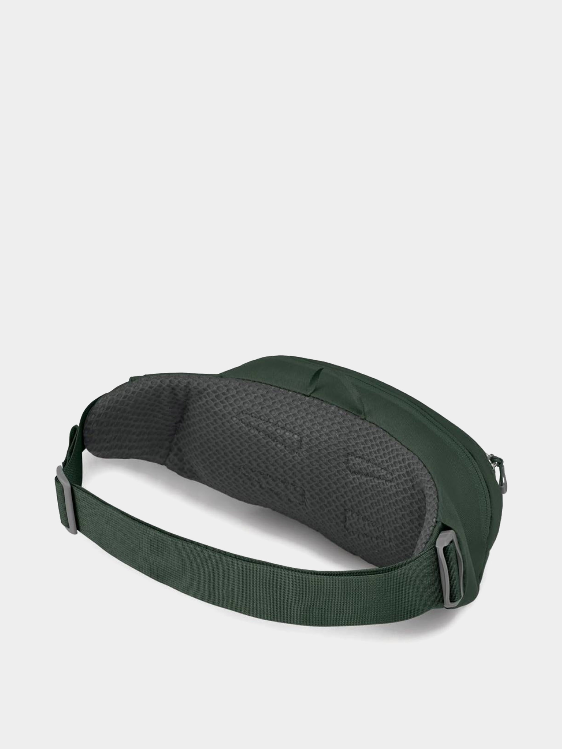 Сумка на пояс Osprey Daylite Waist Pack (green belt/green canopy)