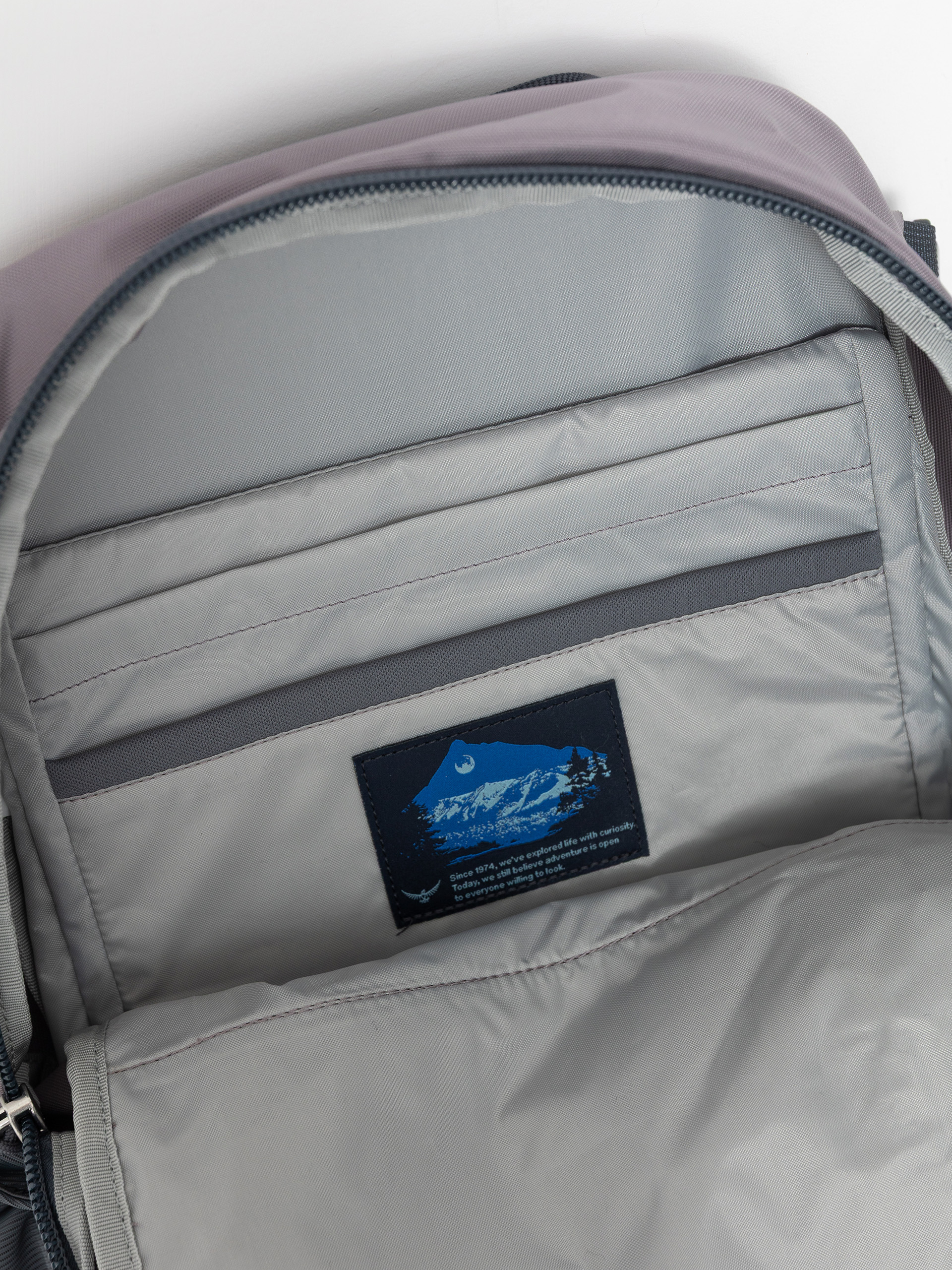 Рюкзак Osprey Axis 24 (soundwave grey)