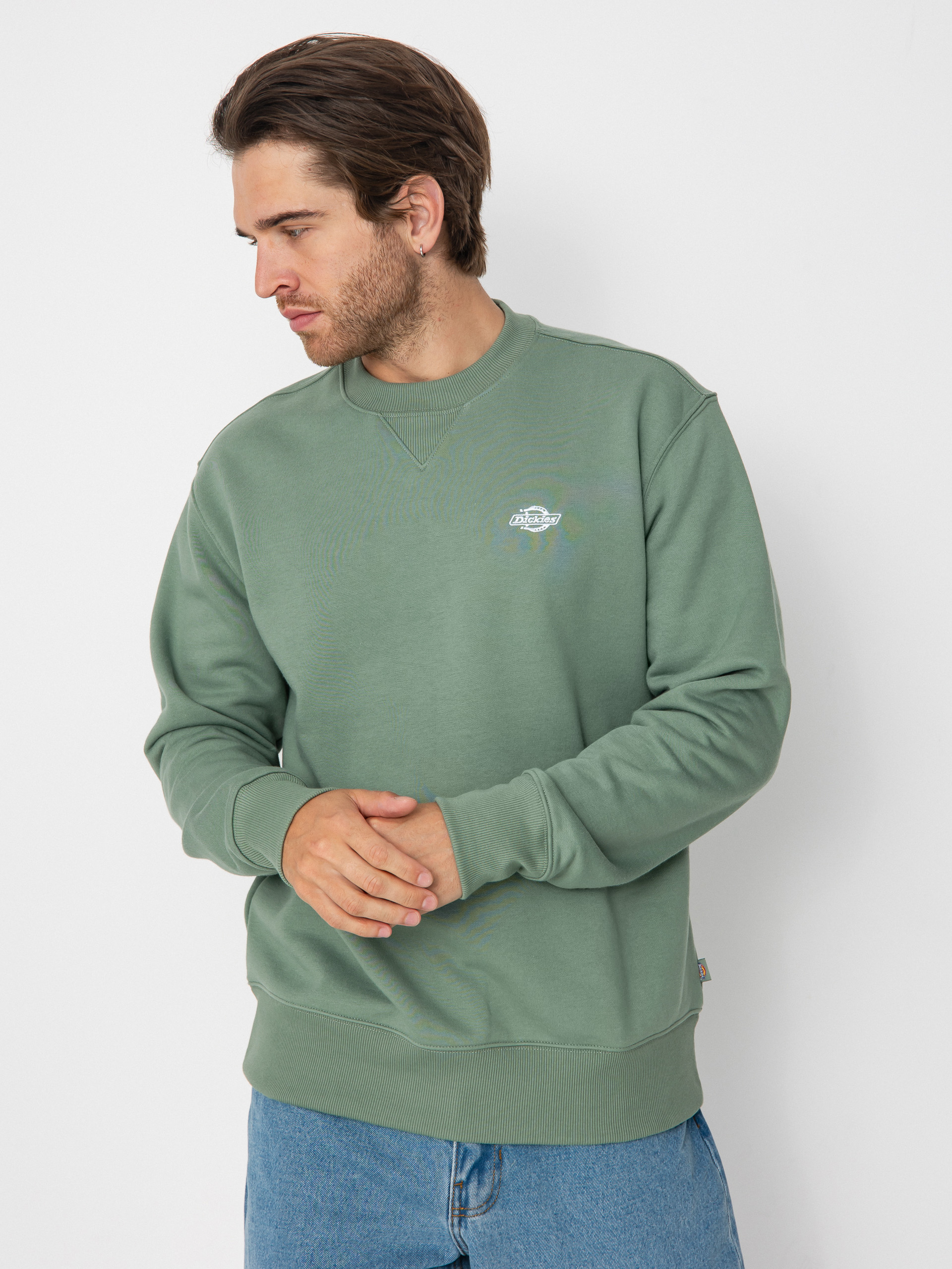 Світшот Dickies Summerdale (sea spray)
