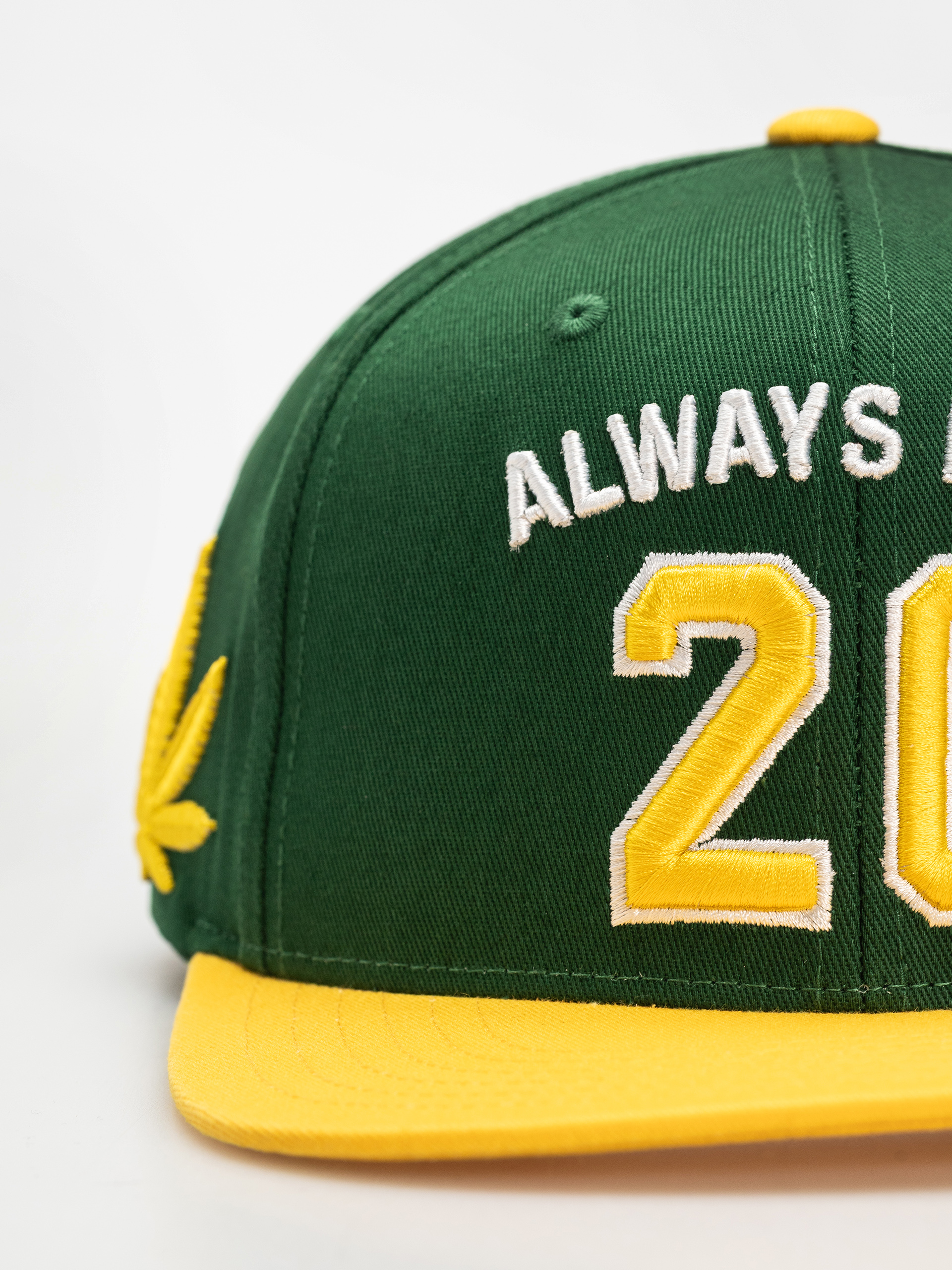 Кепка DGK Team Indica Snap (green)