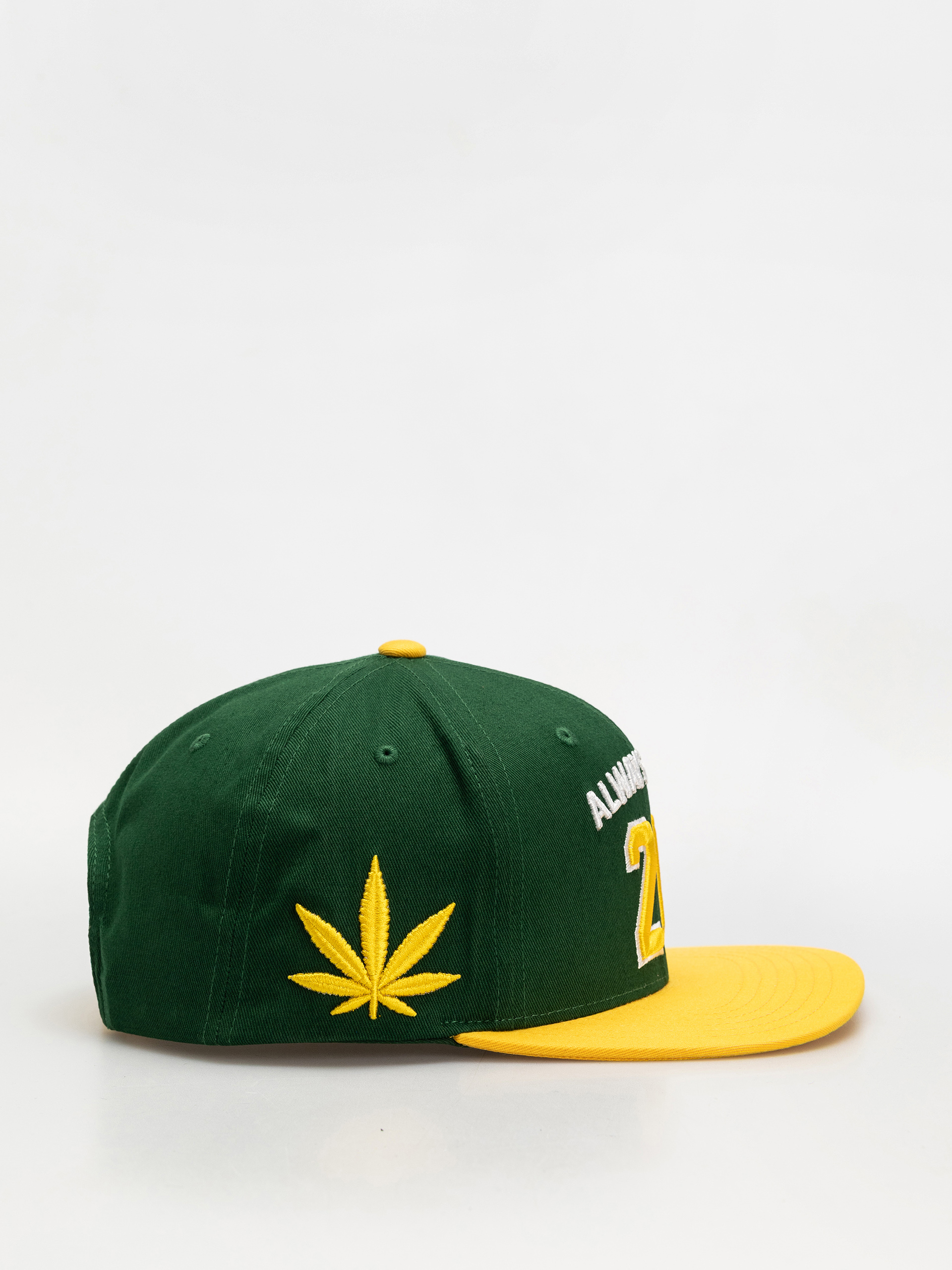 Кепка DGK Team Indica Snap (green)
