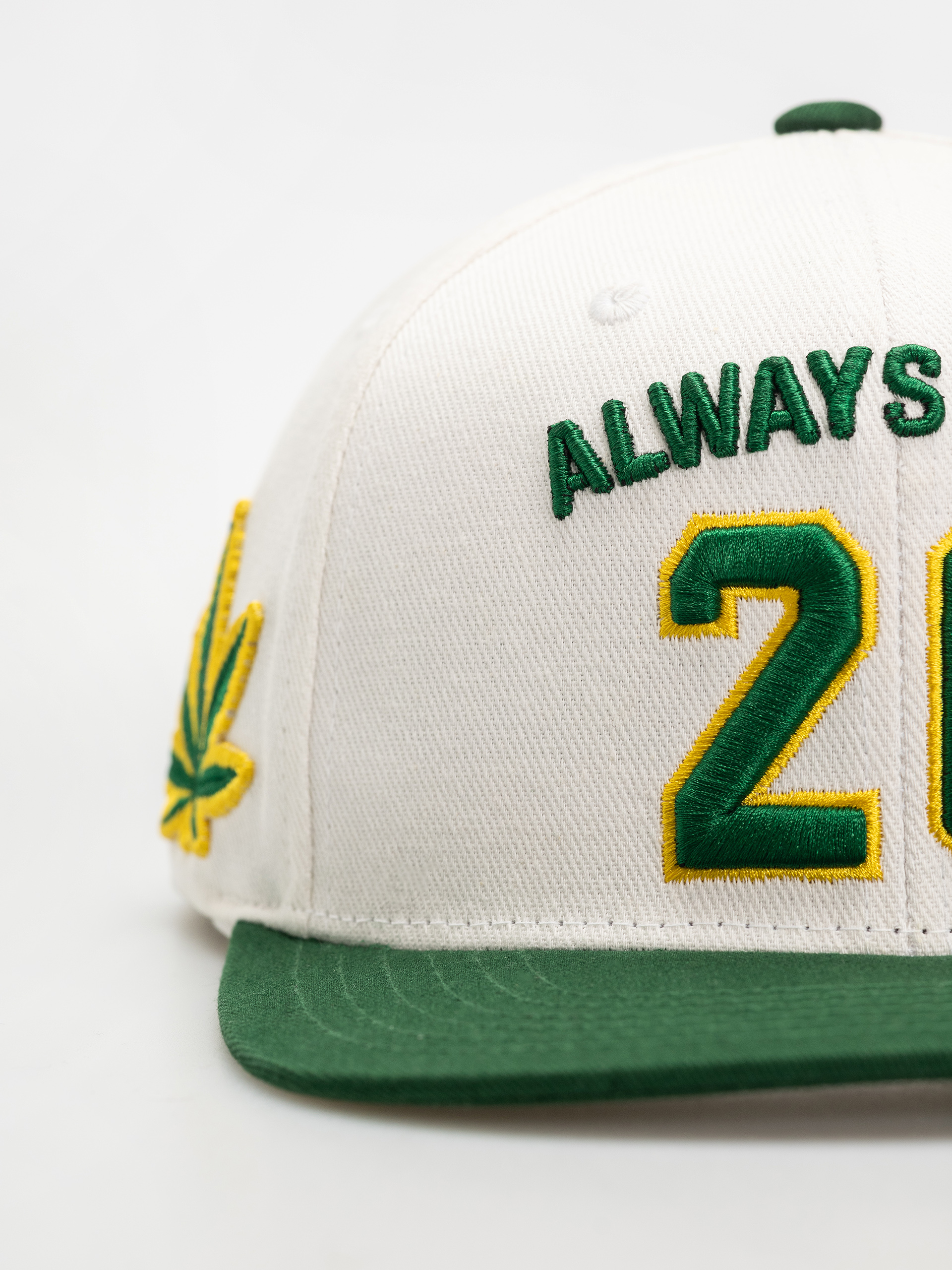 Кепка DGK Team Indica Snap (white)