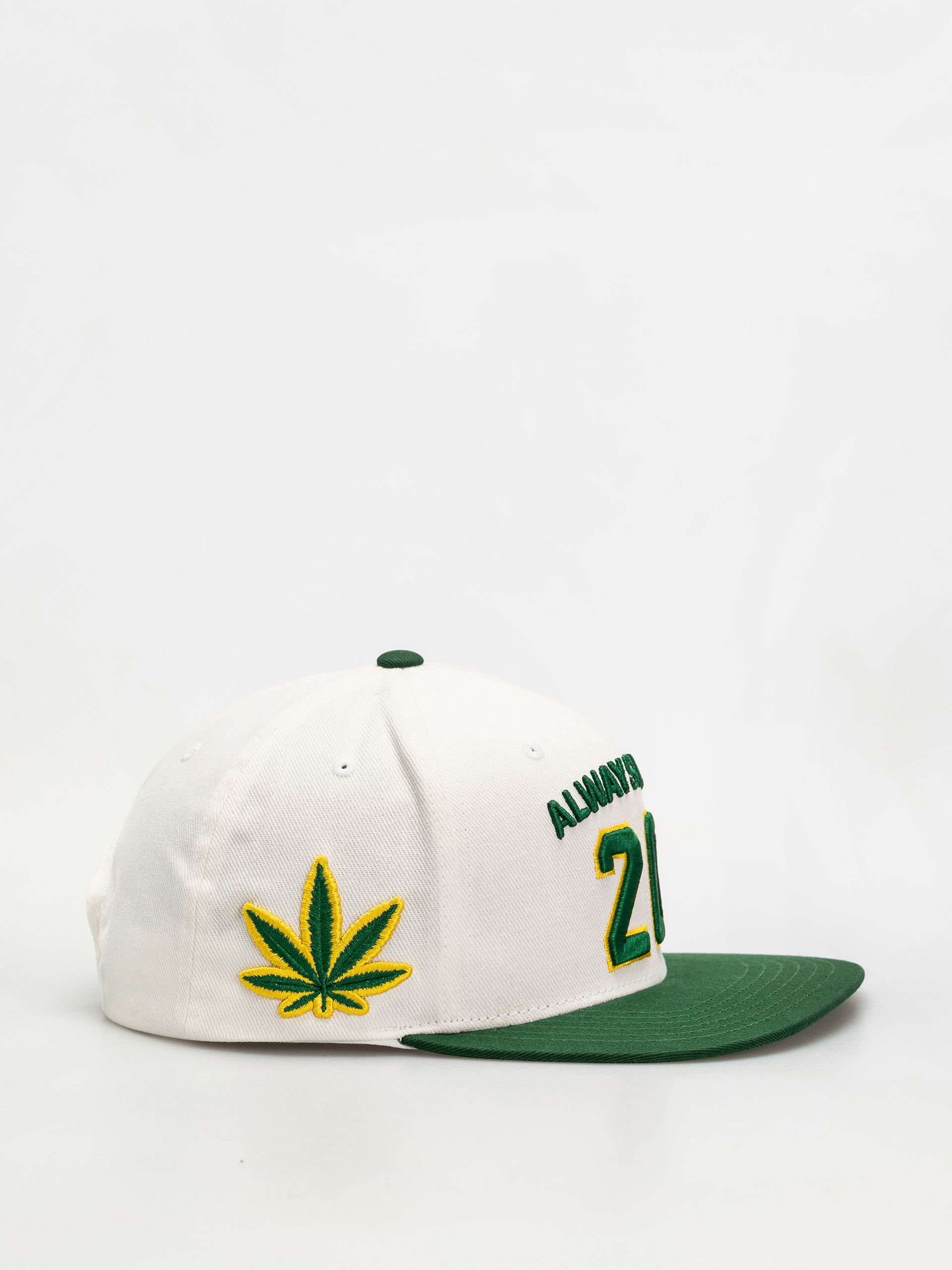 Кепка DGK Team Indica Snap (white)