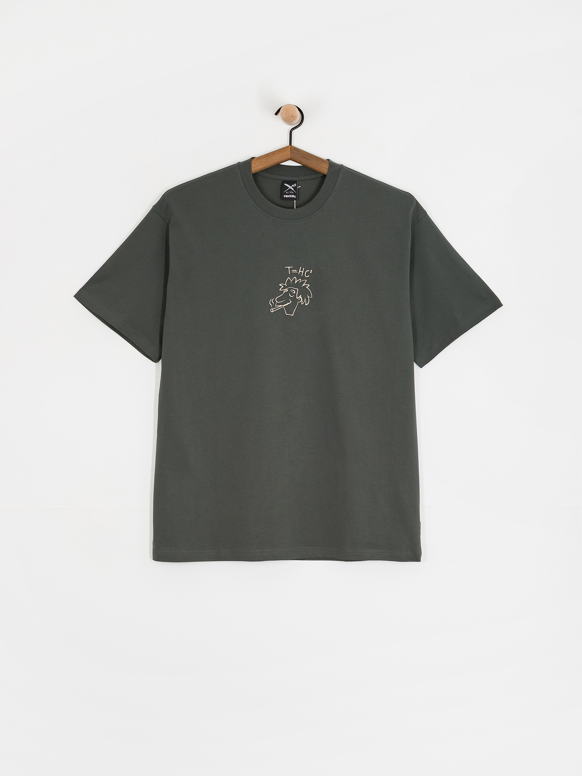 Футболка Iriedaily New Theory