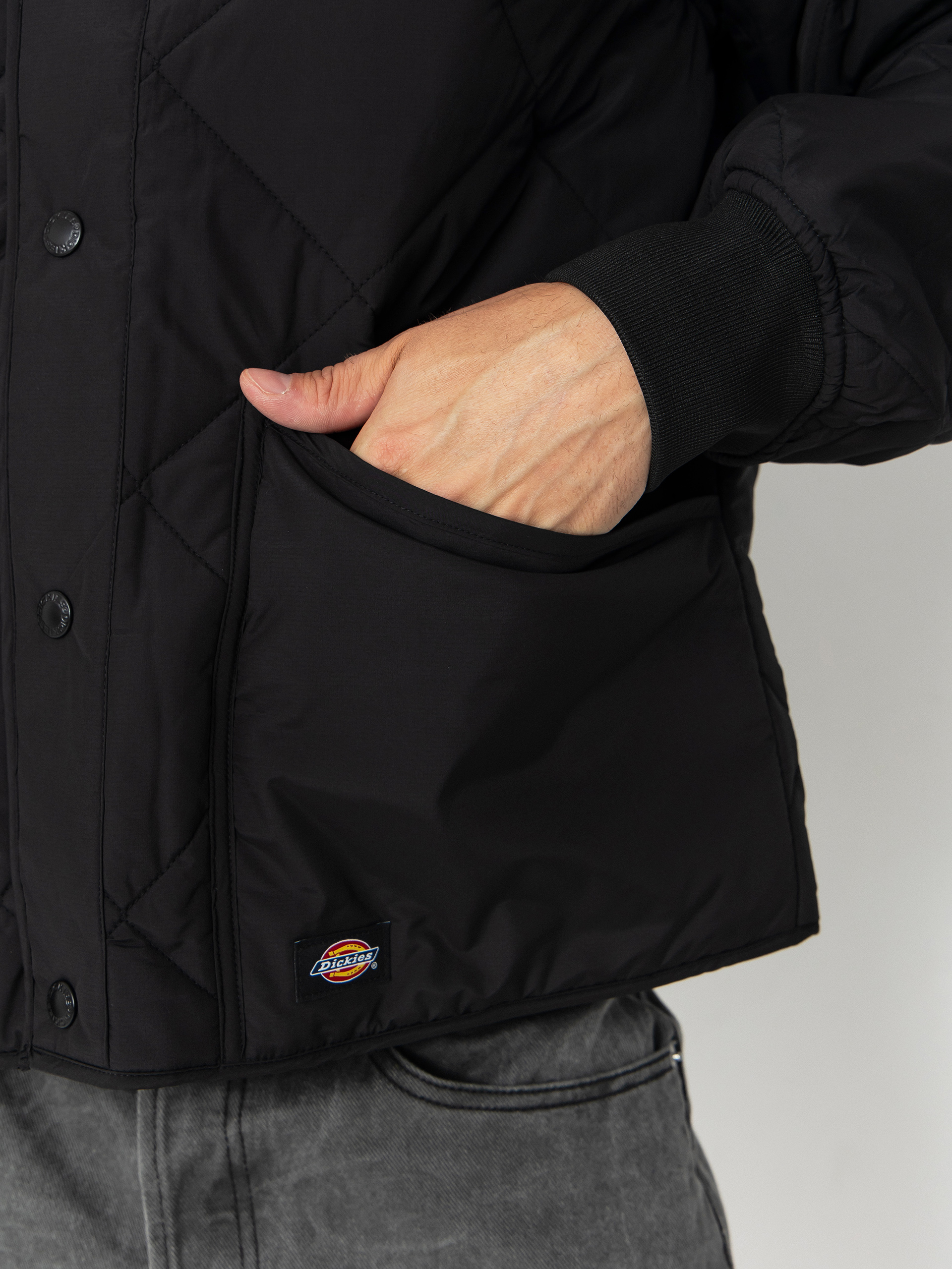 Куртка Dickies Samburg Liner (black)