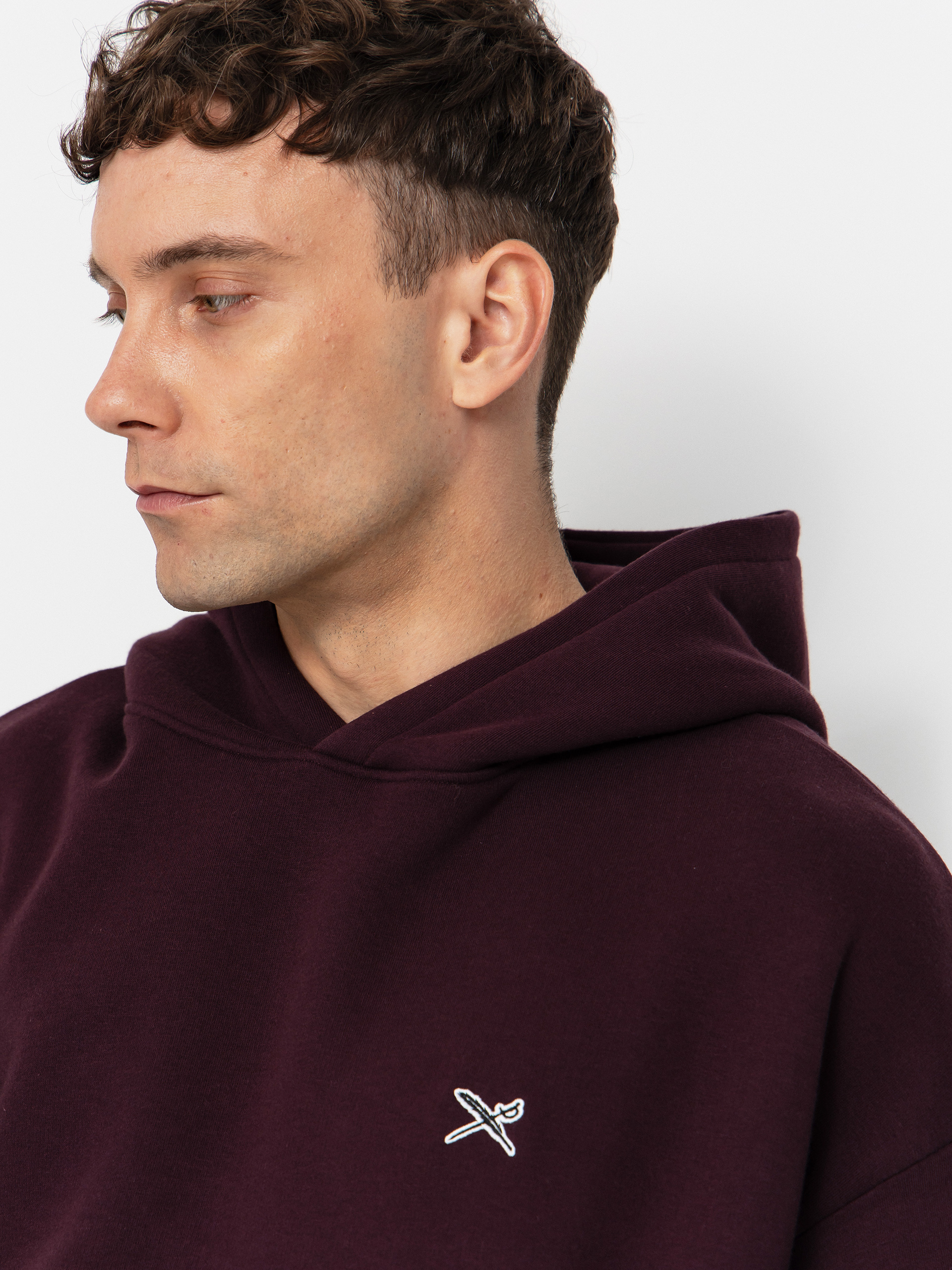 Худі Iriedaily Flagloose HD (aubergine)