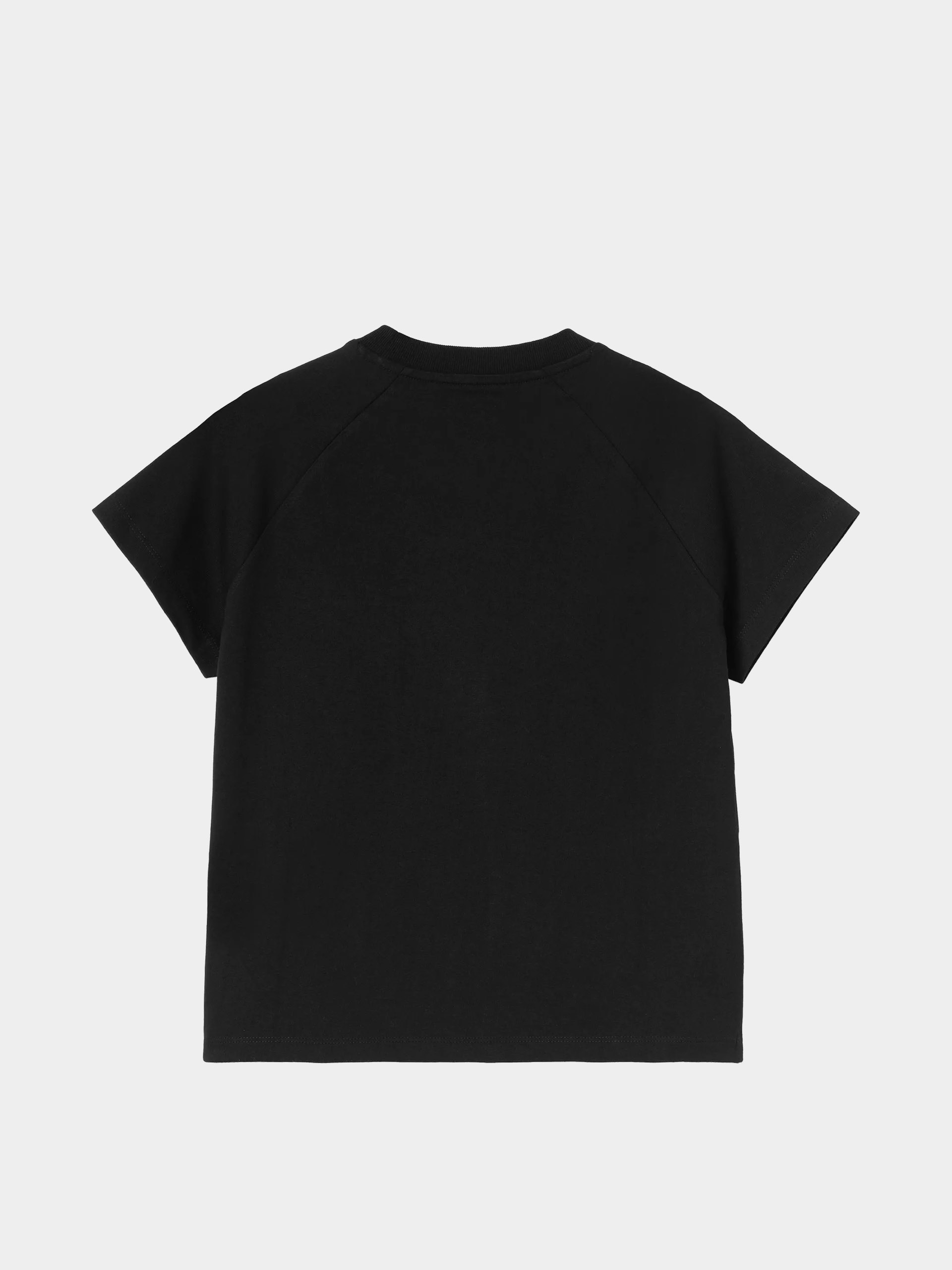 Футболка Carhartt WIP Ray Wmn (black)