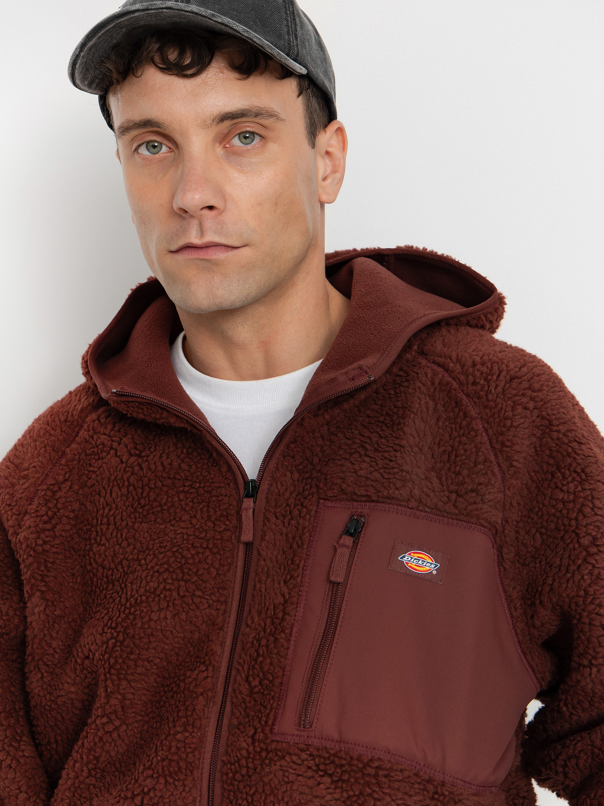 Чоловічий Флісовий светр Dickies Central High Pile (andorra)