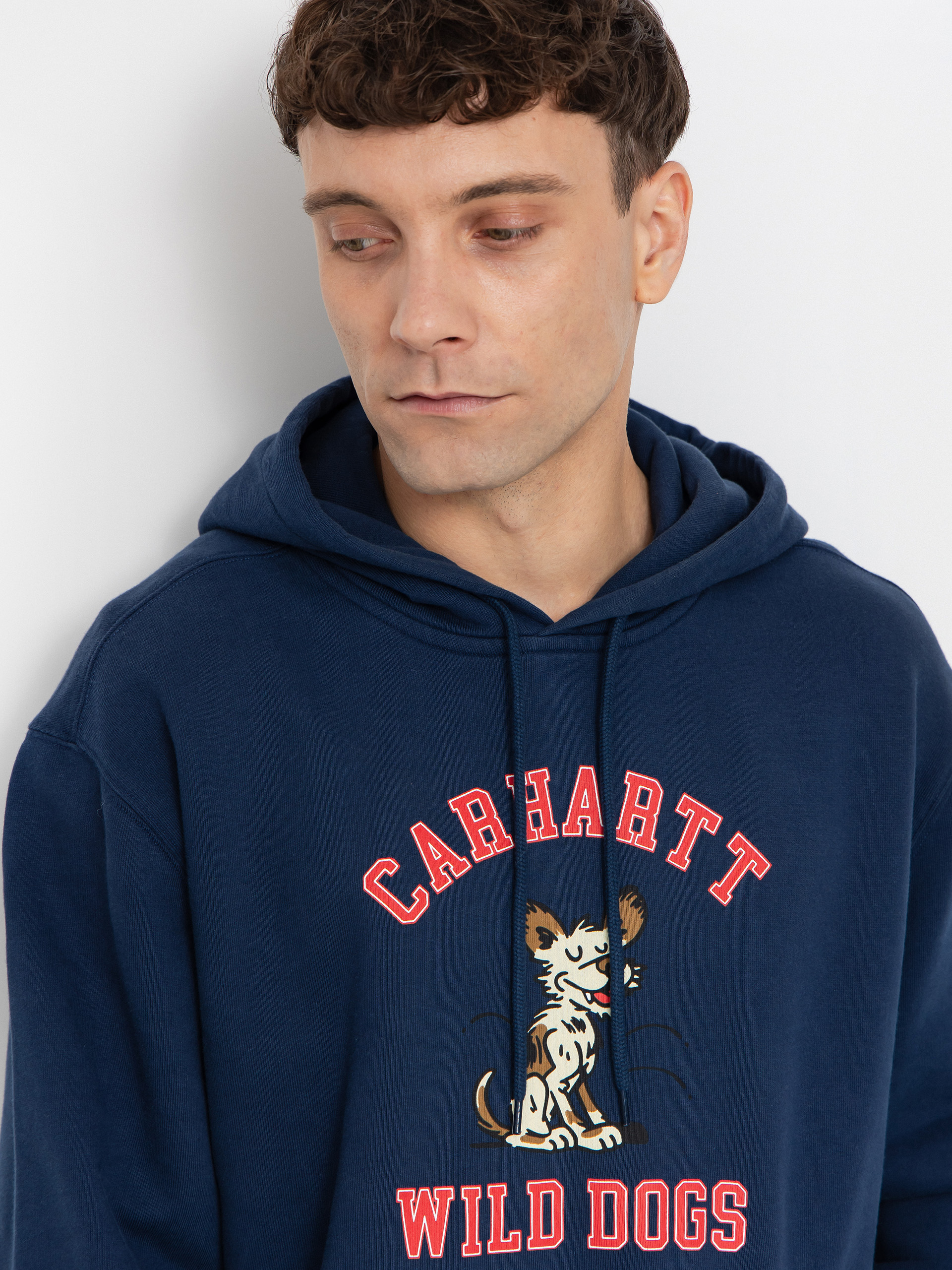 Худі Carhartt WIP Wild Dog HD (jupiter)