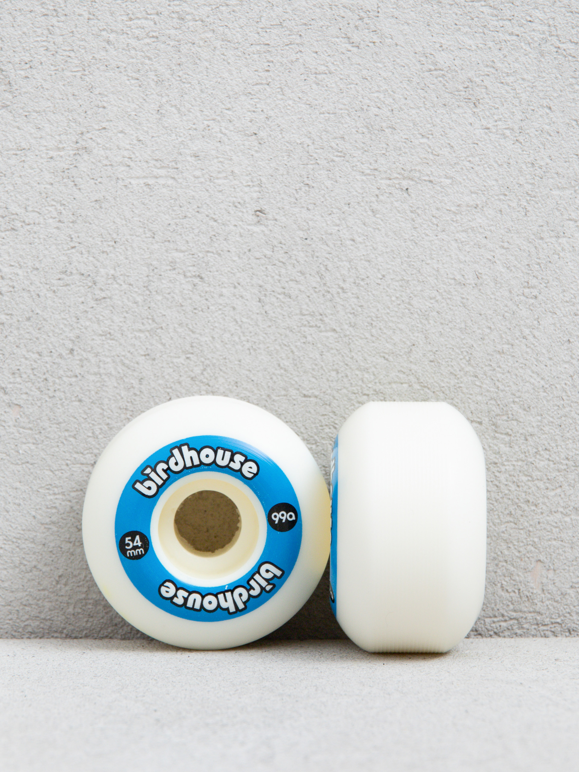 u041au043eu043bu0435u0441u0430 Birdhouse Logo 99a (blue)